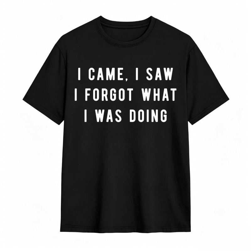 I Came I Saw I Forgot What I Was Doing Unisex Classic T-shirt