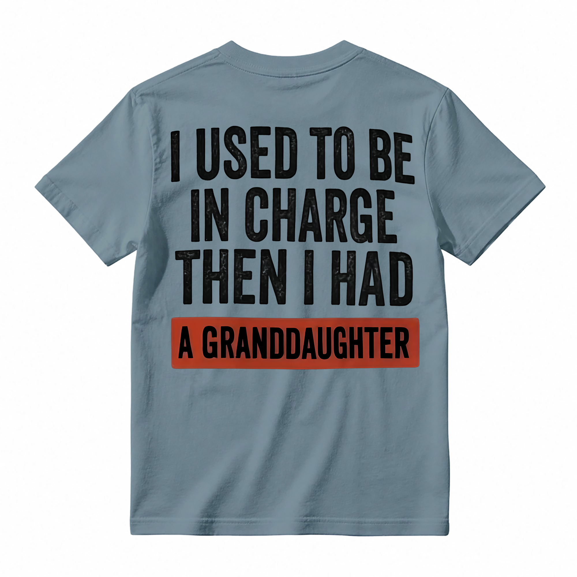 I Used To Be In Charge Then I Had A Granddaughter Funny T-Shirt