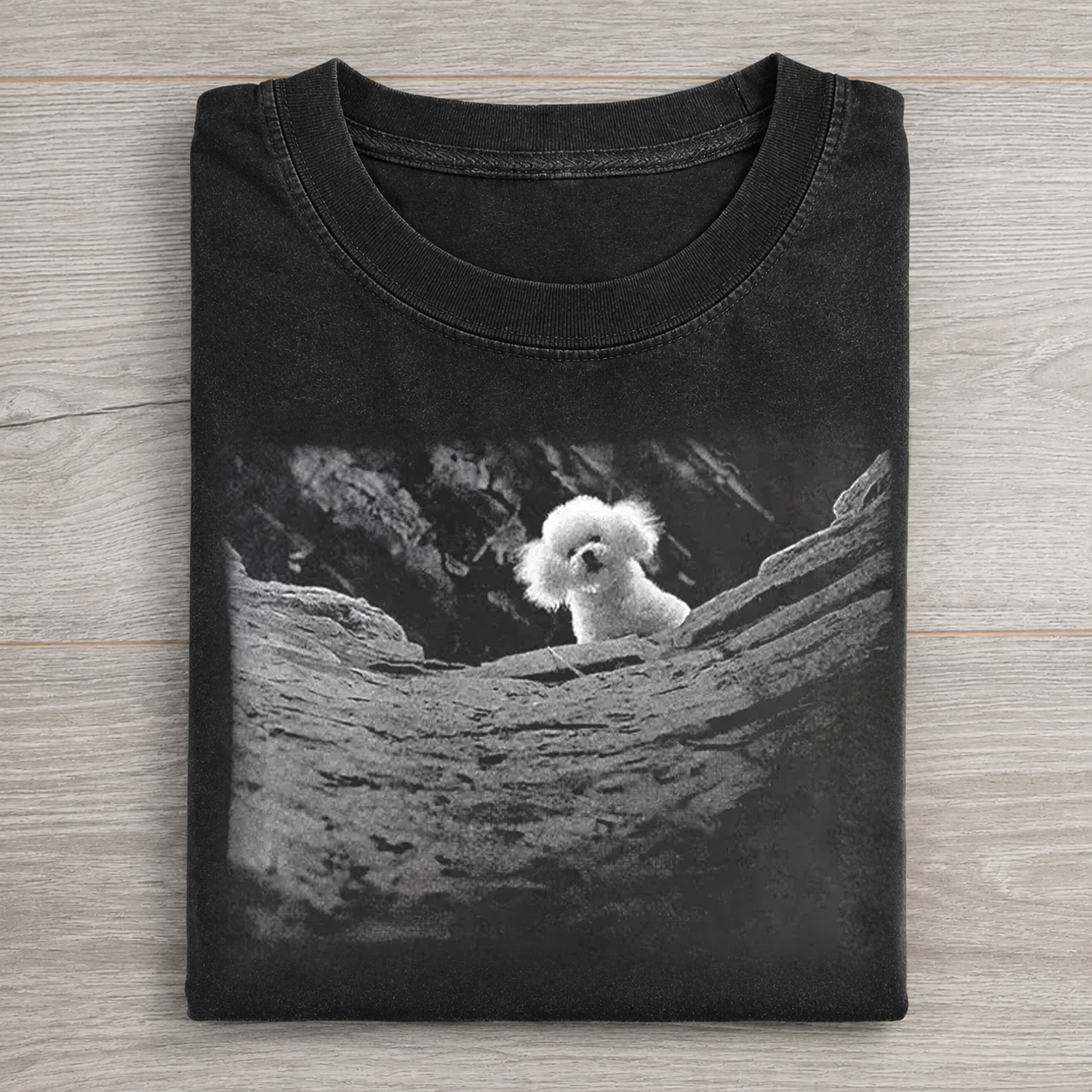 Fluffy White Dog On Rocky Cliff Black And White Photo Washed T-shirt