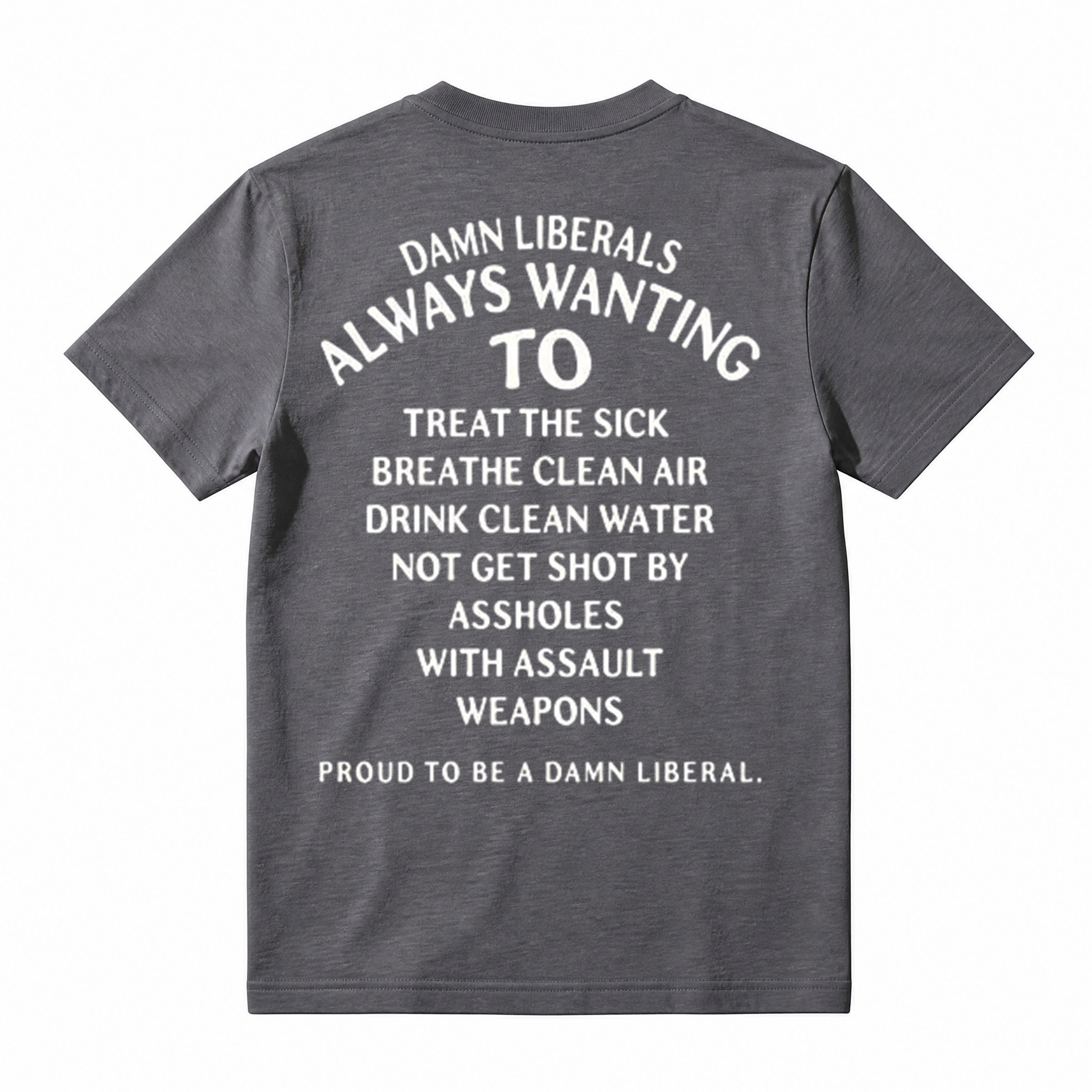 Damn Liberals Always Wanting Political Sarcasm Graphic T-Shirt