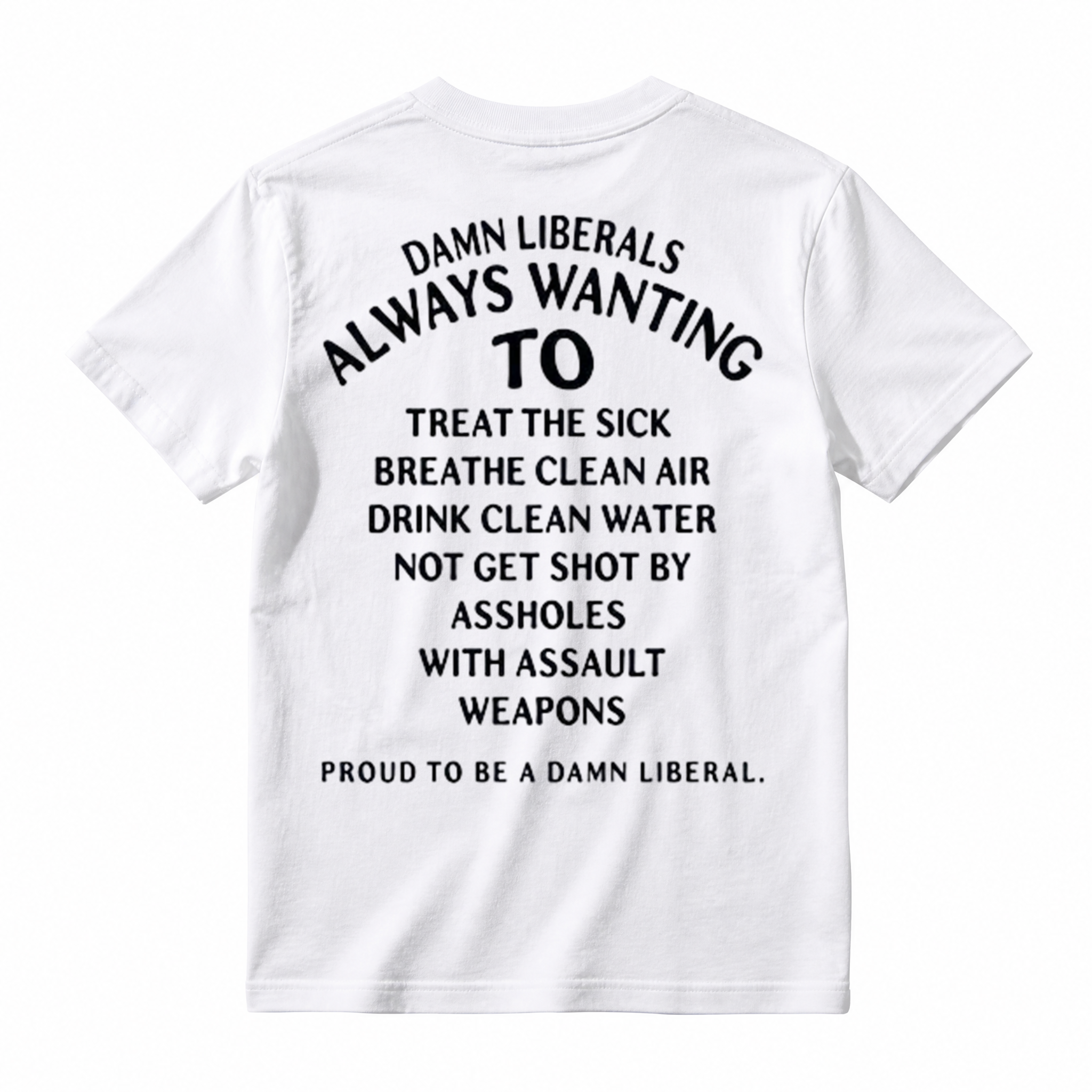 Damn Liberals Always Wanting Political Sarcasm Graphic T-Shirt