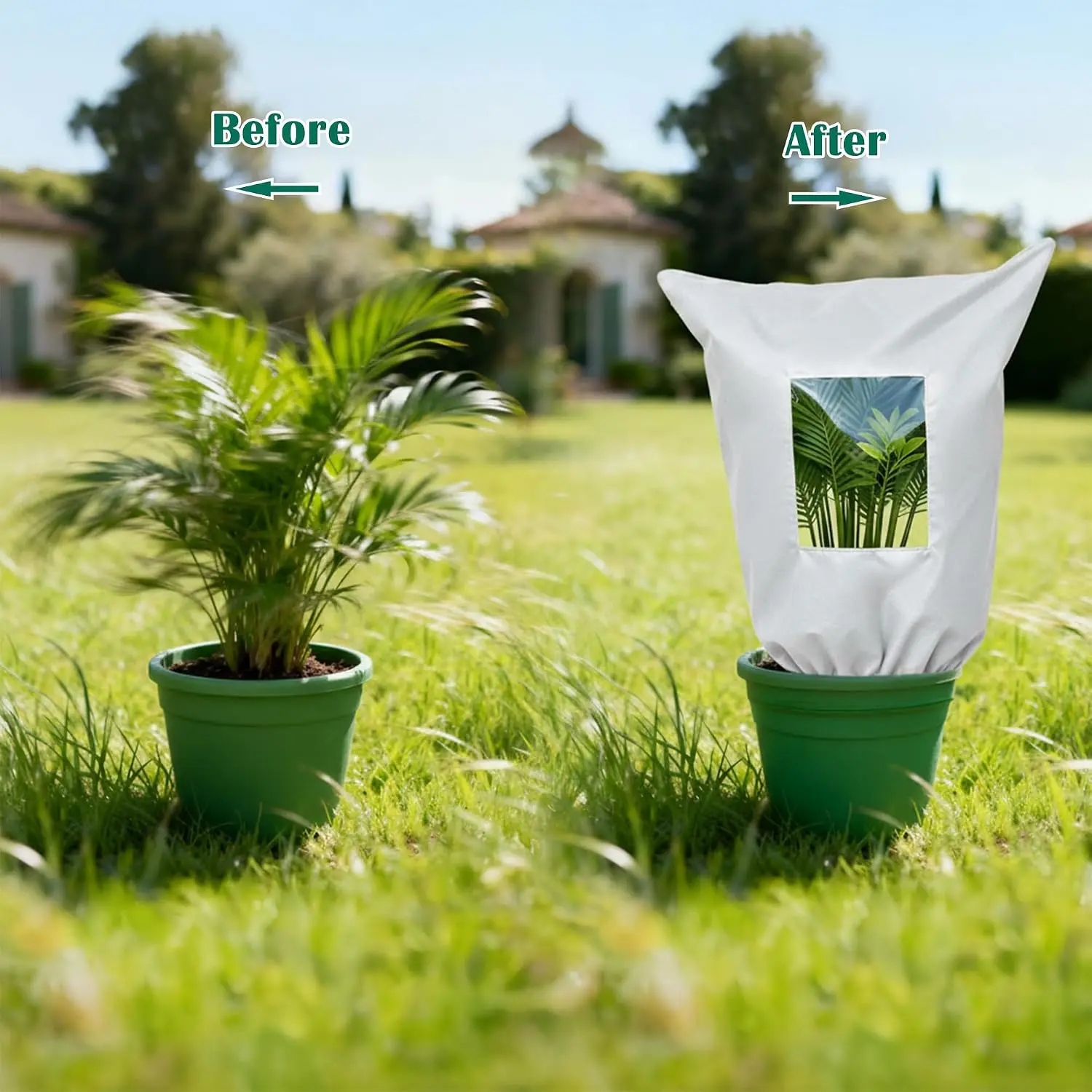 Plant frost protection cover