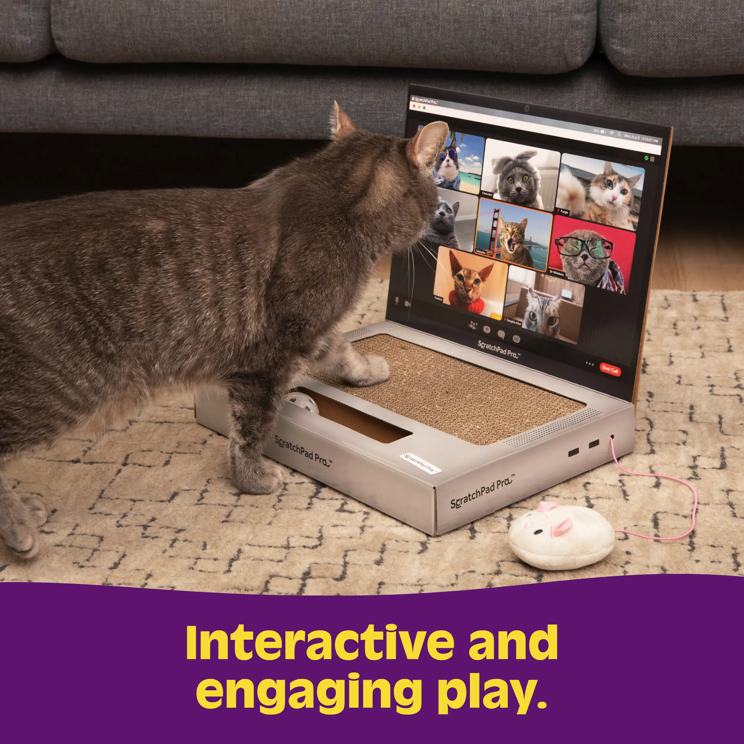 ScratchPad Pro Cardboard Laptop Cat Scratcher | Funny & Functional Cat Toy for Indoor Cats