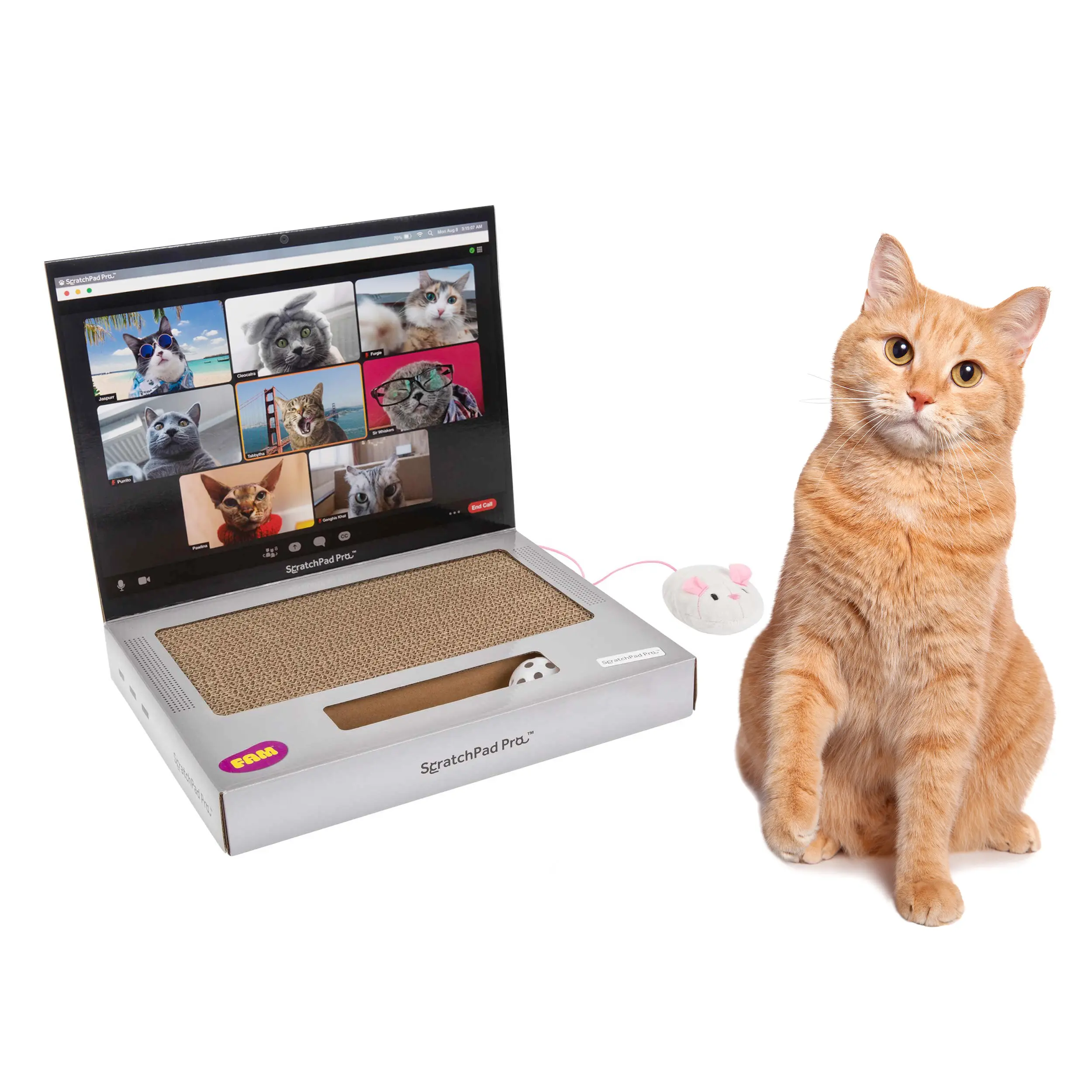 ScratchPad Pro Cardboard Laptop Cat Scratcher | Funny & Functional Cat Toy for Indoor Cats
