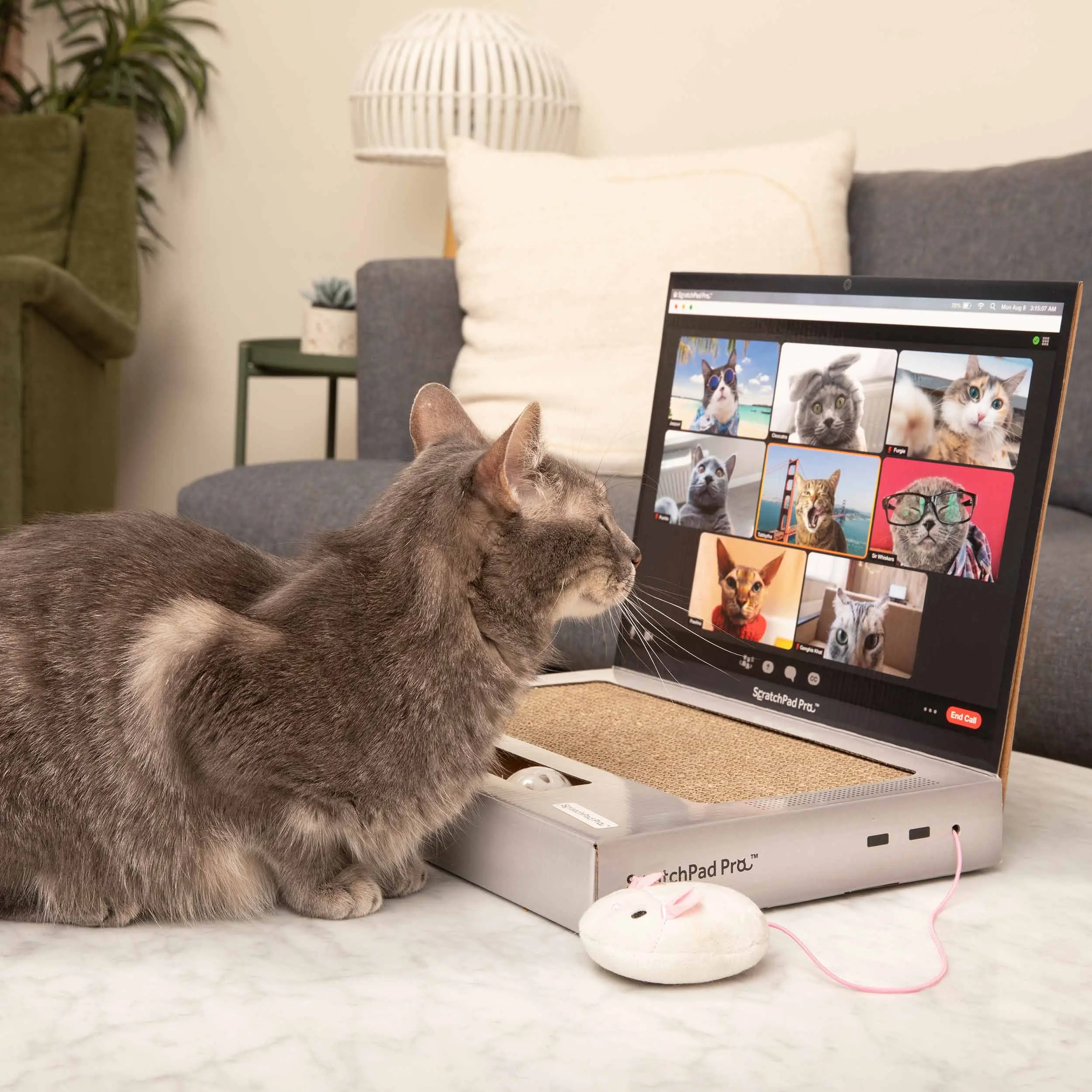 ScratchPad Pro Cardboard Laptop Cat Scratcher | Funny & Functional Cat Toy for Indoor Cats