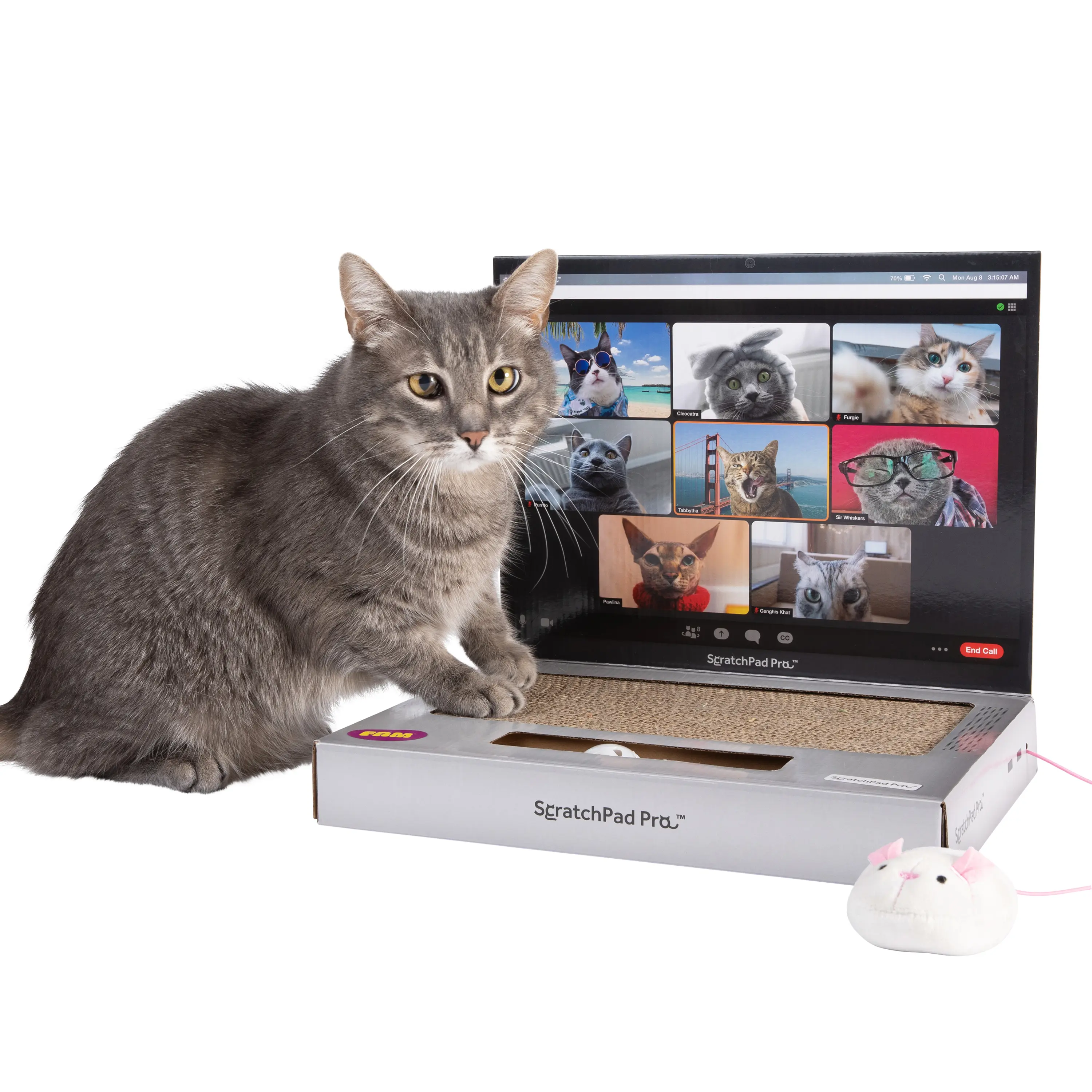 ScratchPad Pro Cardboard Laptop Cat Scratcher | Funny & Functional Cat Toy for Indoor Cats