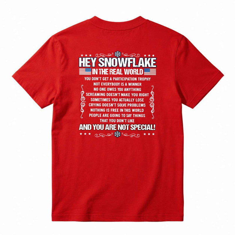 Hey Snowflake In The Real World T-shirt