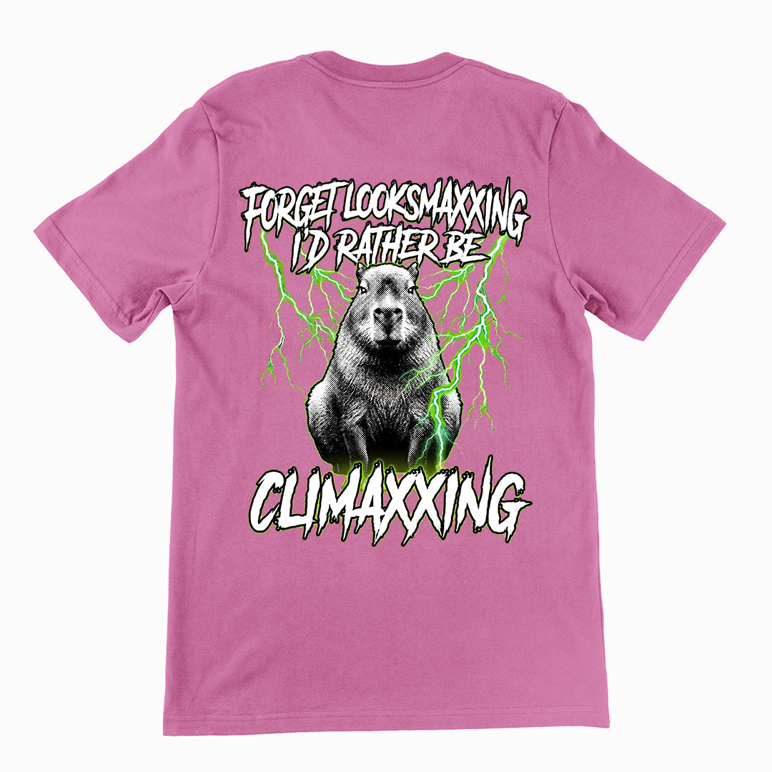 Forget Looksmaxxing I'd rather be Climaxxing T-Shirt (backprint)