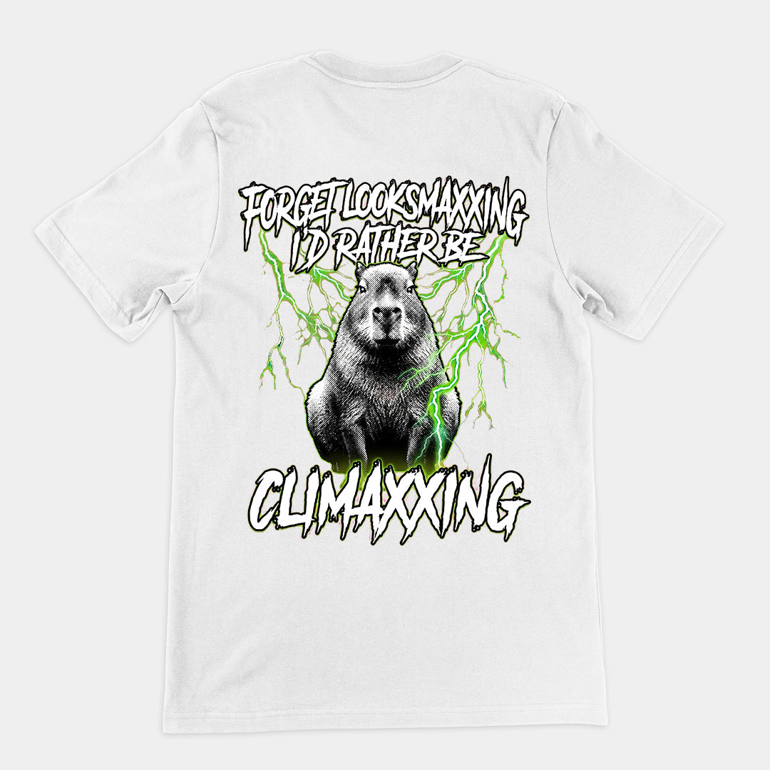 Forget Looksmaxxing I'd rather be Climaxxing T-Shirt (backprint)