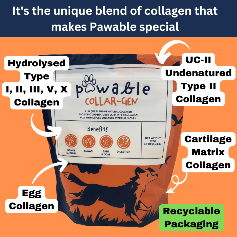 Dog Joint Collagen Supplement, Hip & Joint Support with UC-II Collagen for All Age Dogs
