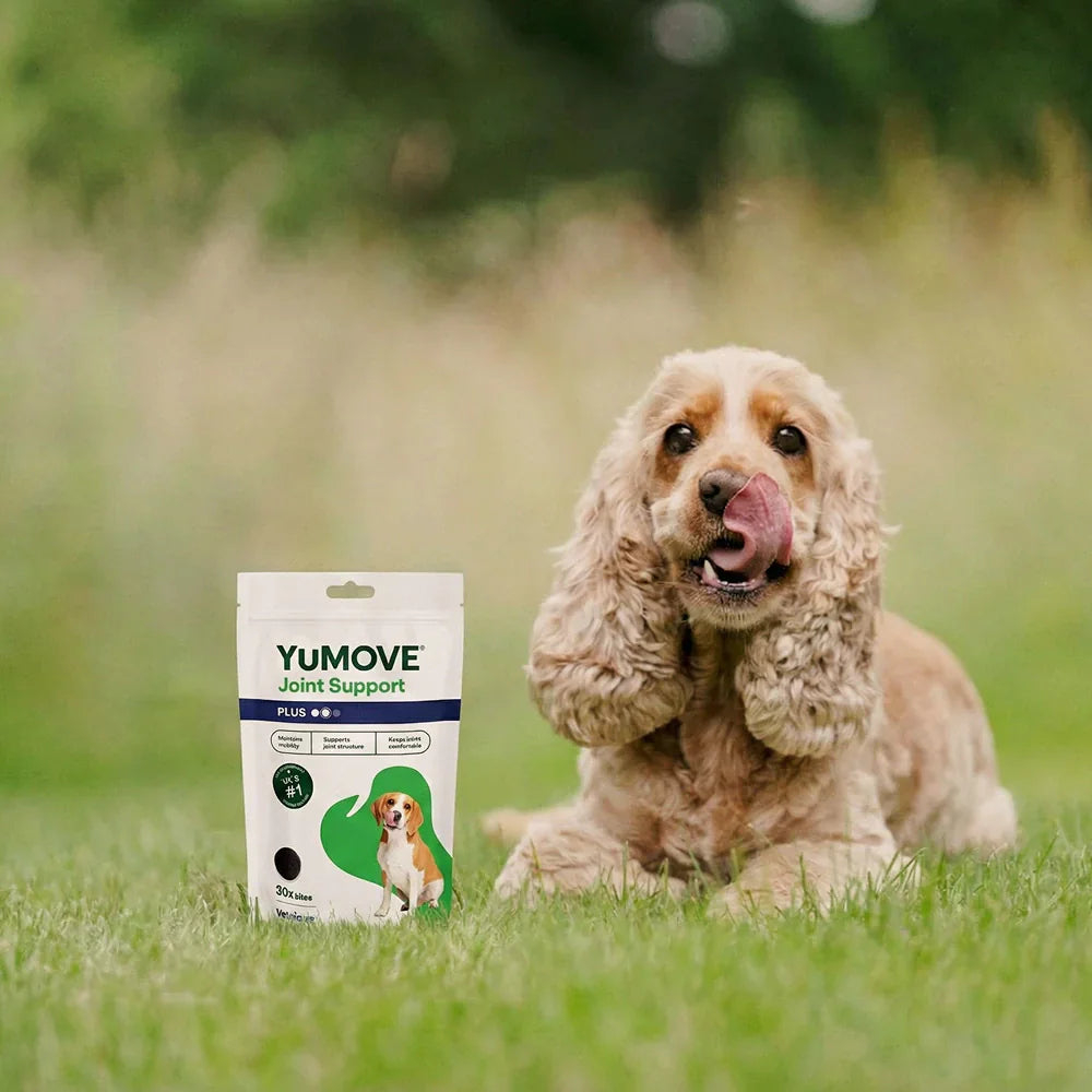 YuMOVE Joint Care PLUS One-a-Day High Strength Dog Joint Supplement Chews