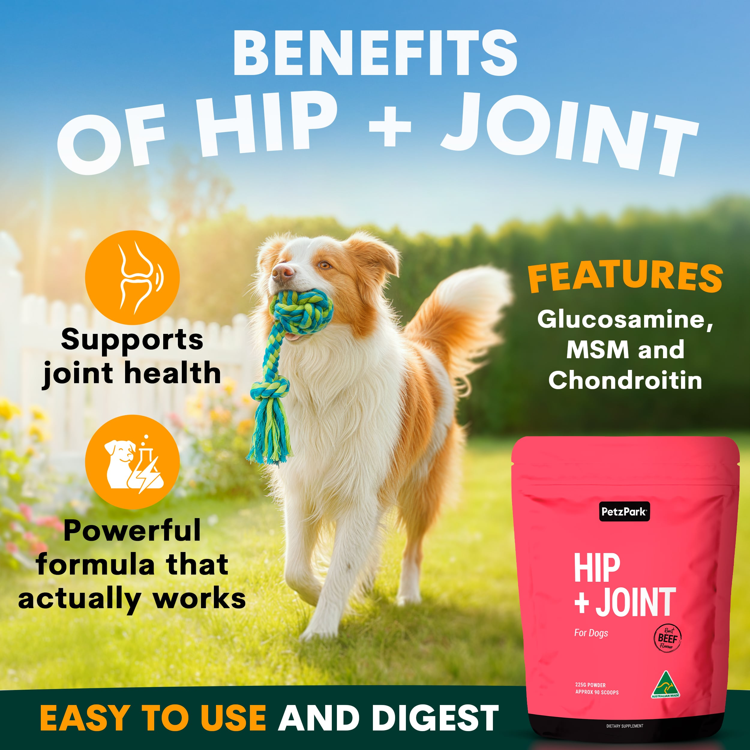 Hip + Joint Supplement Powder for Dogs, Premium Joint Health Support