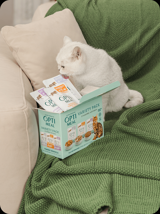 24 Pack Grain Free Wet Cat Food Variety Pack, Tender Morsels Multi Flavor Pouch Meal for Adult Indoor Cats
