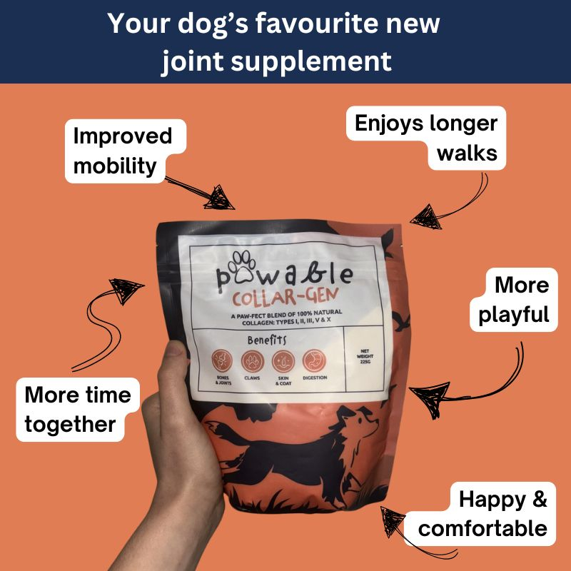 Dog Joint Collagen Supplement, Hip & Joint Support with UC-II Collagen for All Age Dogs