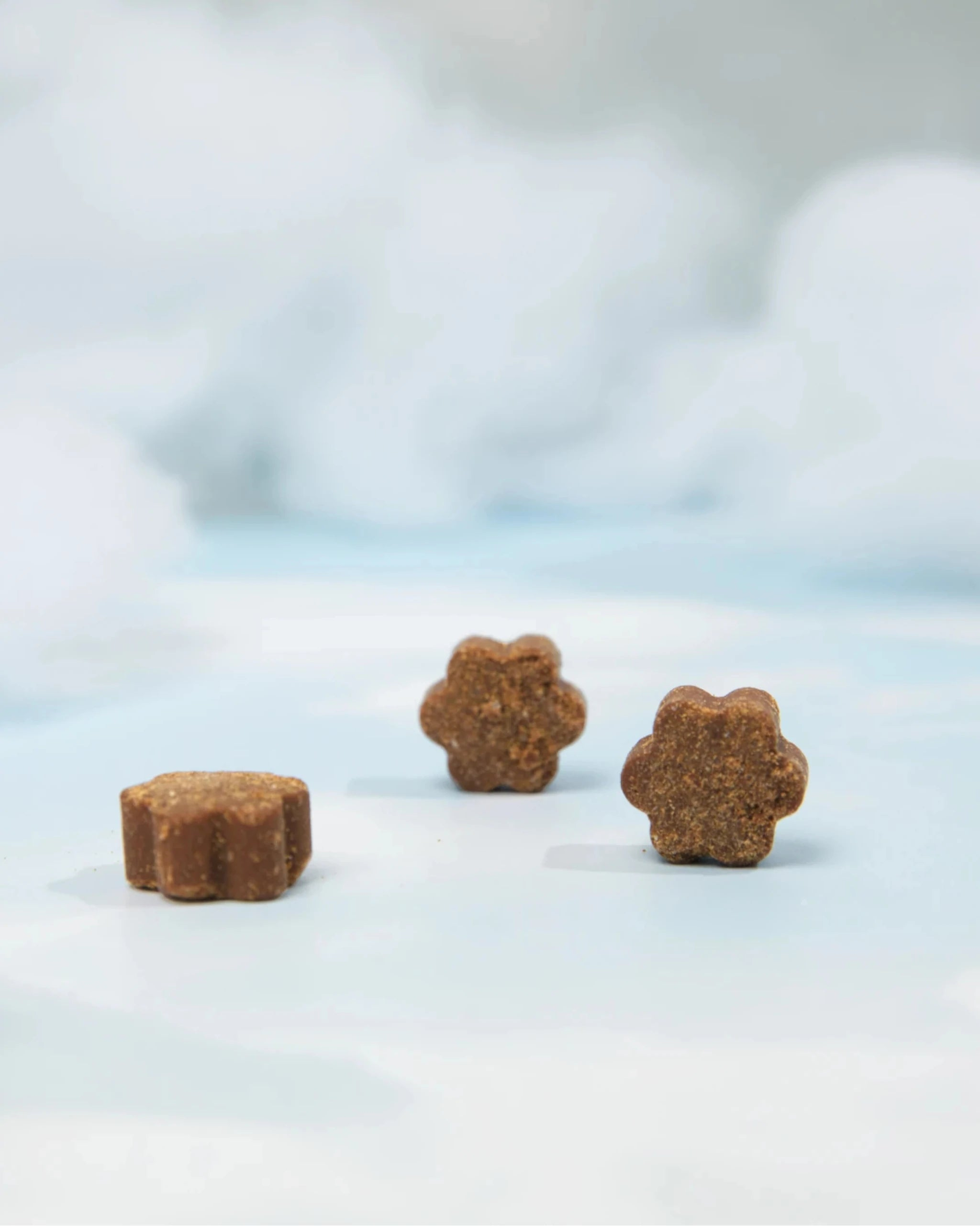 Daily All-in-One Dog Multivitamin Soft Chews, 100% Human Grade Ingredients