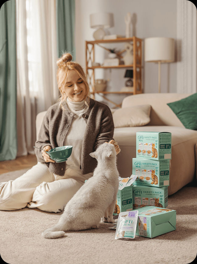 24 Pack Grain Free Wet Cat Food Variety Pack, Tender Morsels Multi Flavor Pouch Meal for Adult Indoor Cats