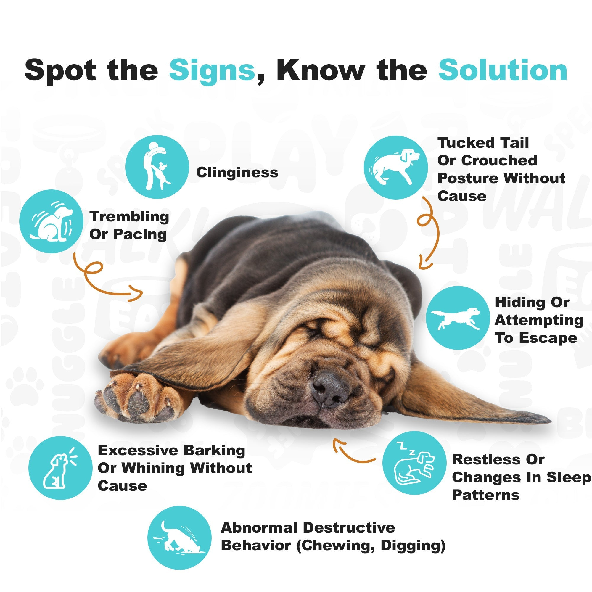 Dog Calming Soft Chews, Natural Daily Stress & Anxiety Support Supplement