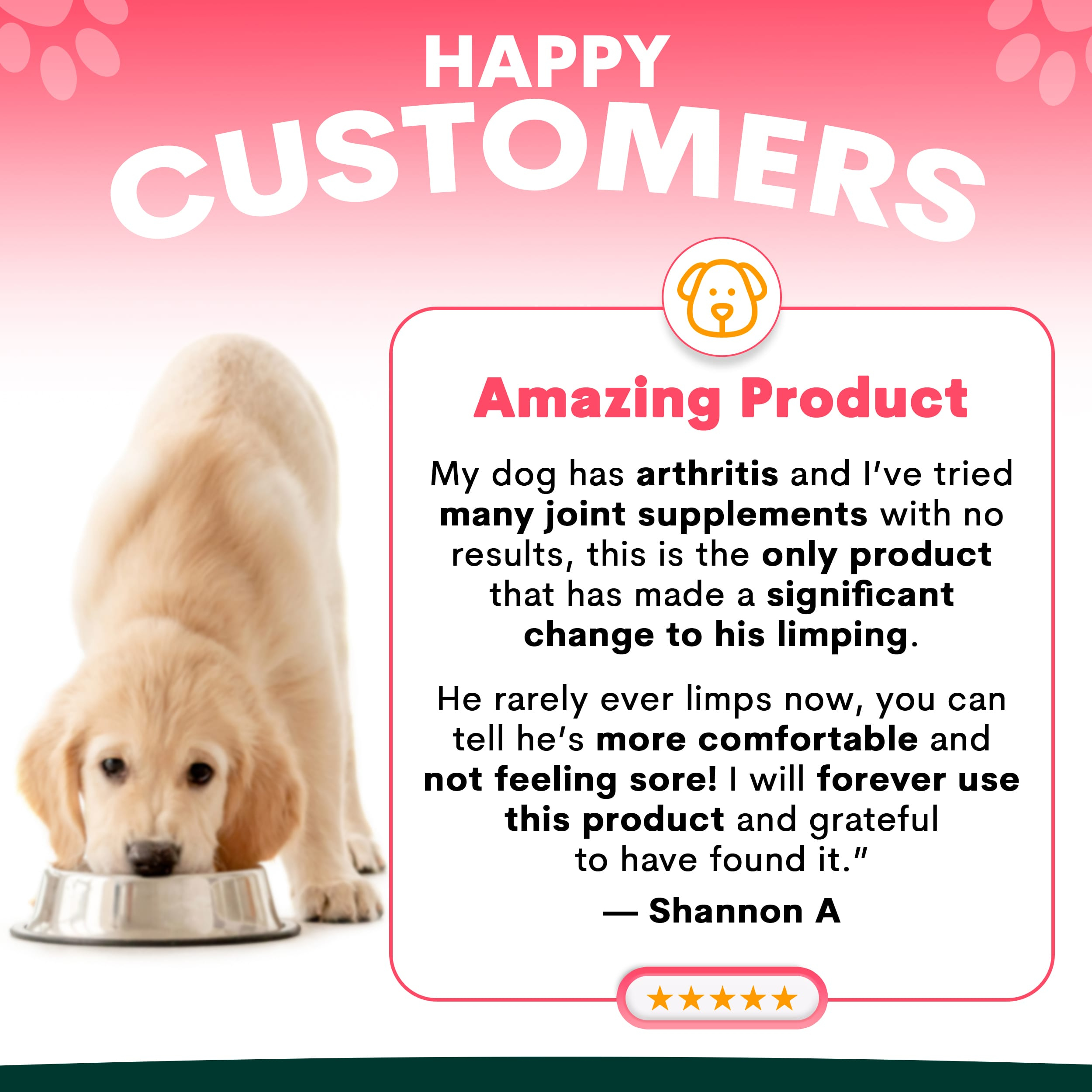 Hip + Joint Supplement Powder for Dogs, Premium Joint Health Support