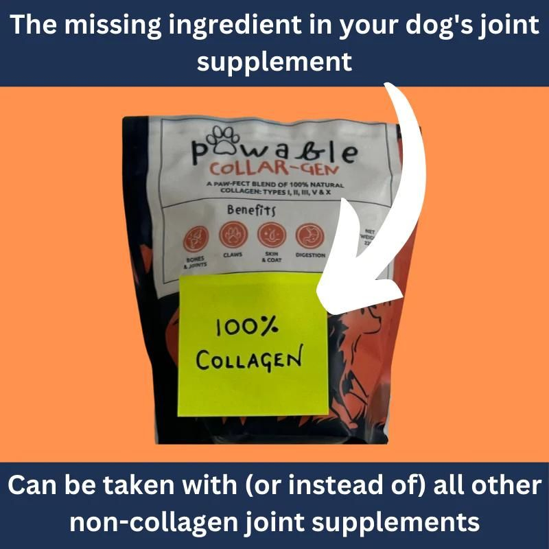 Dog Joint Collagen Supplement, Hip & Joint Support with UC-II Collagen for All Age Dogs