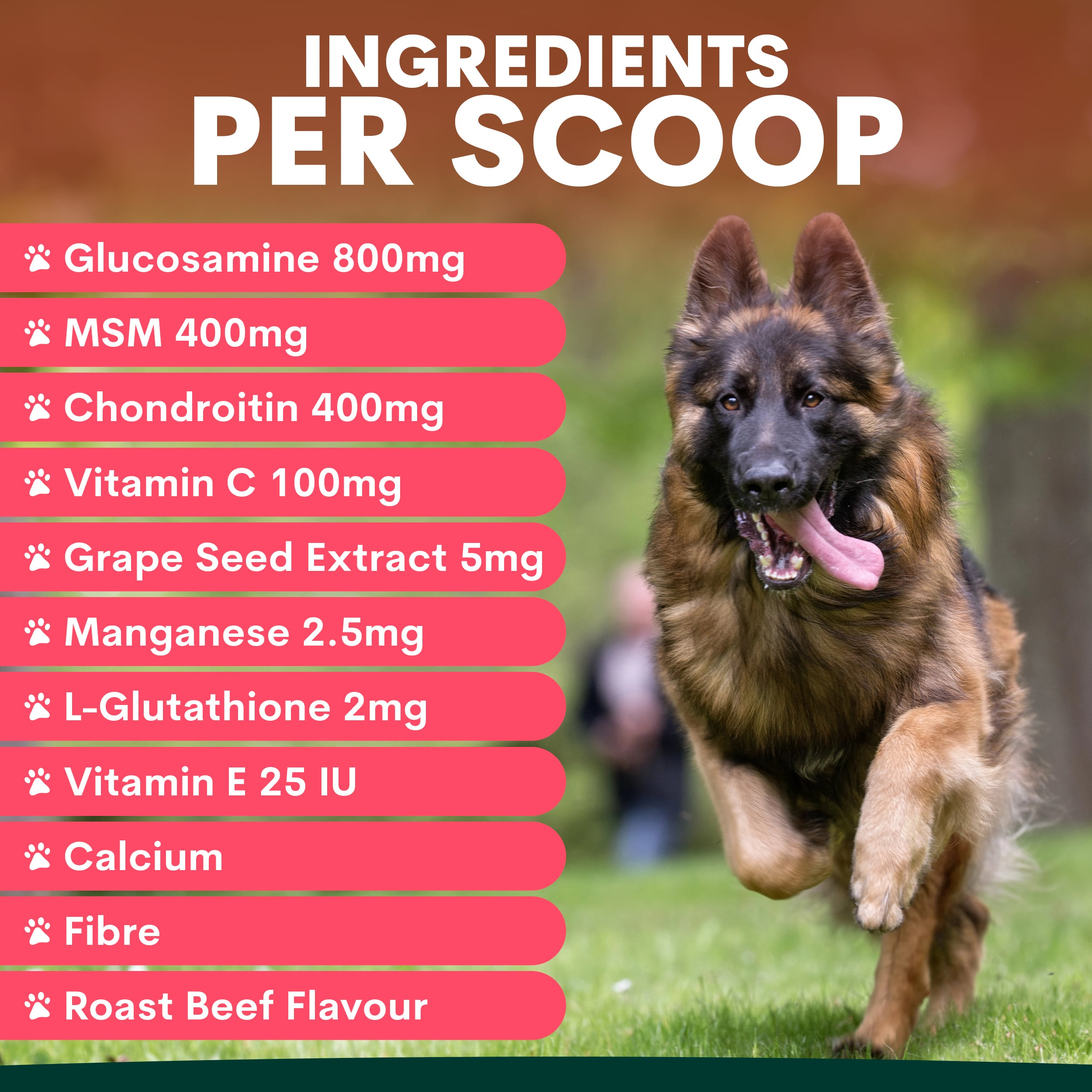 Hip + Joint Supplement Powder for Dogs, Premium Joint Health Support