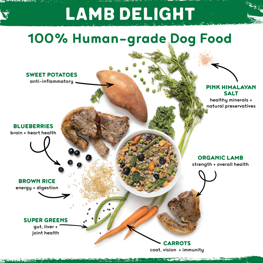 100% Human-Grade Dog Food Variety Pack, Natural Meals with Organic Turkey, Lamb & Beef