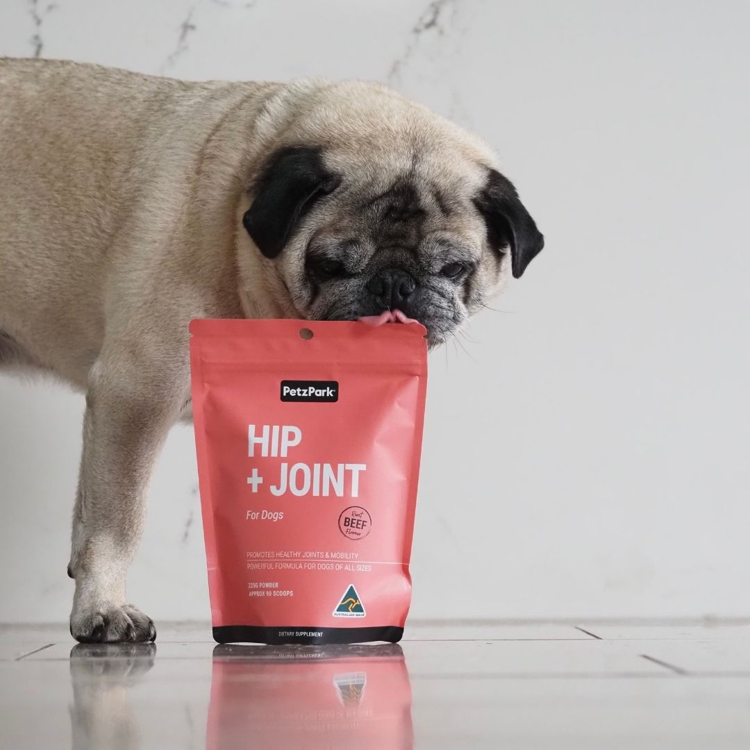 Hip + Joint Supplement Powder for Dogs, Premium Joint Health Support
