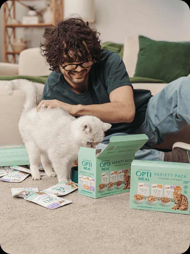 24 Pack Grain Free Wet Cat Food Variety Pack, Tender Morsels Multi Flavor Pouch Meal for Adult Indoor Cats