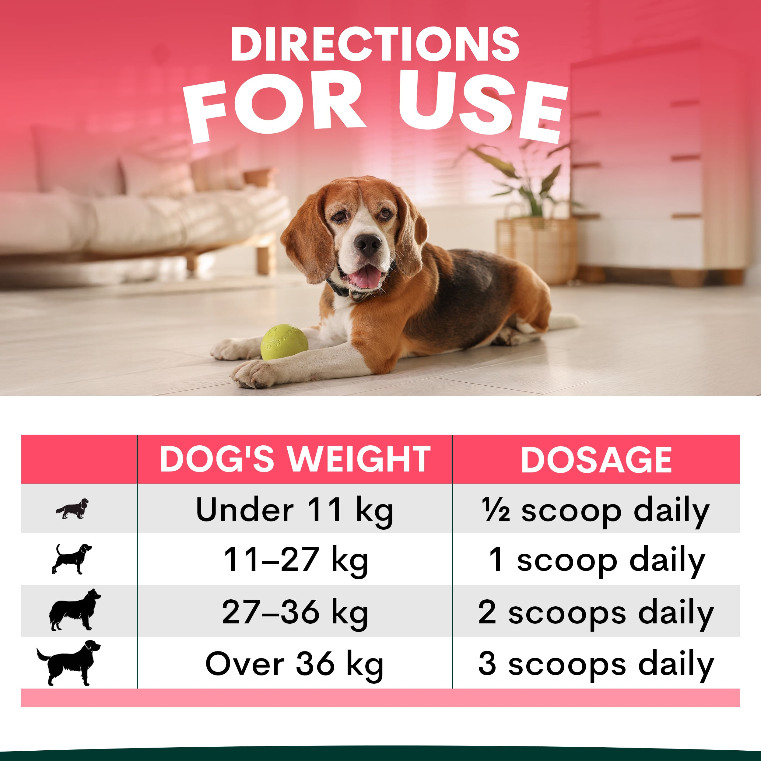 Hip + Joint Supplement Powder for Dogs, Premium Joint Health Support