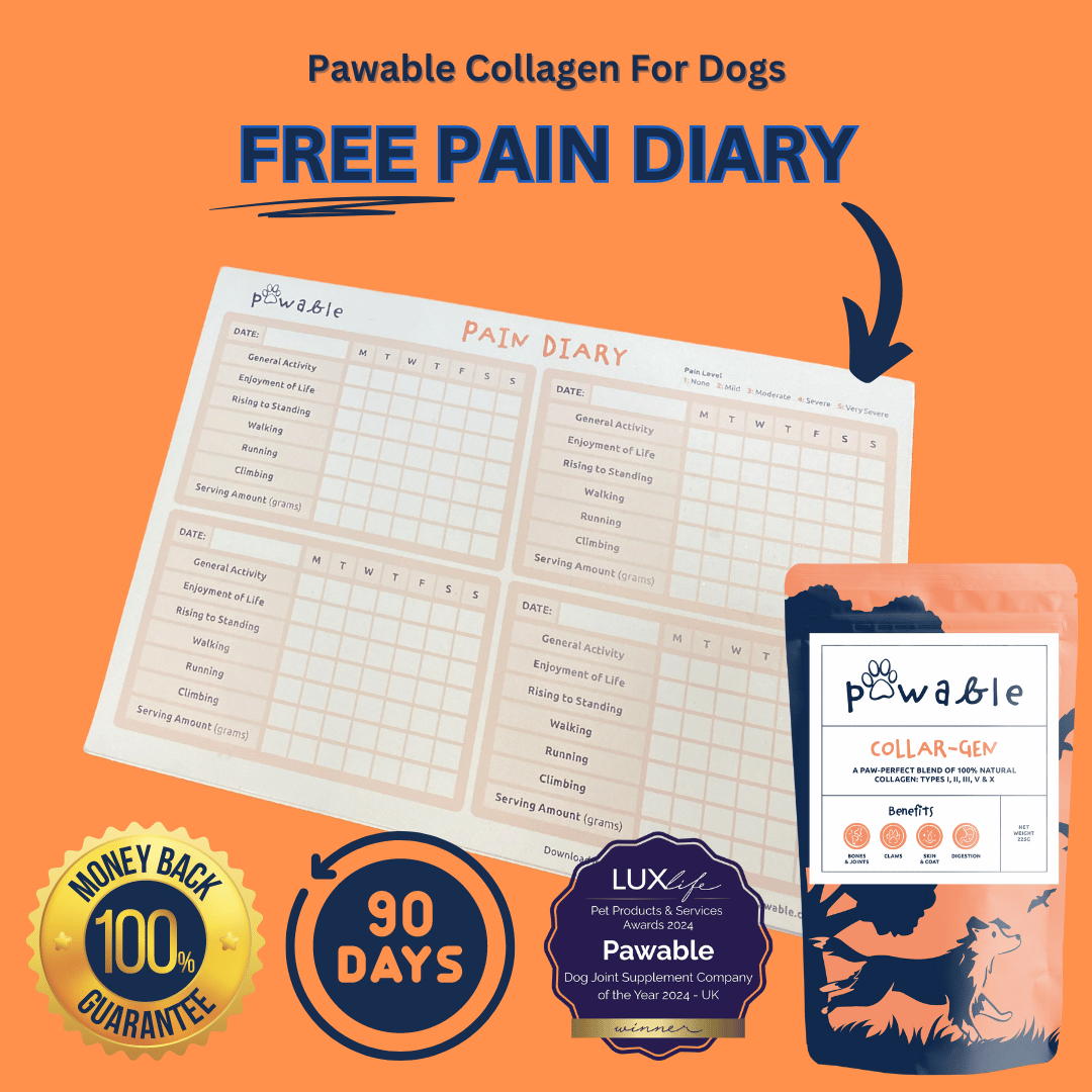 Dog Joint Collagen Supplement, Hip & Joint Support with UC-II Collagen for All Age Dogs