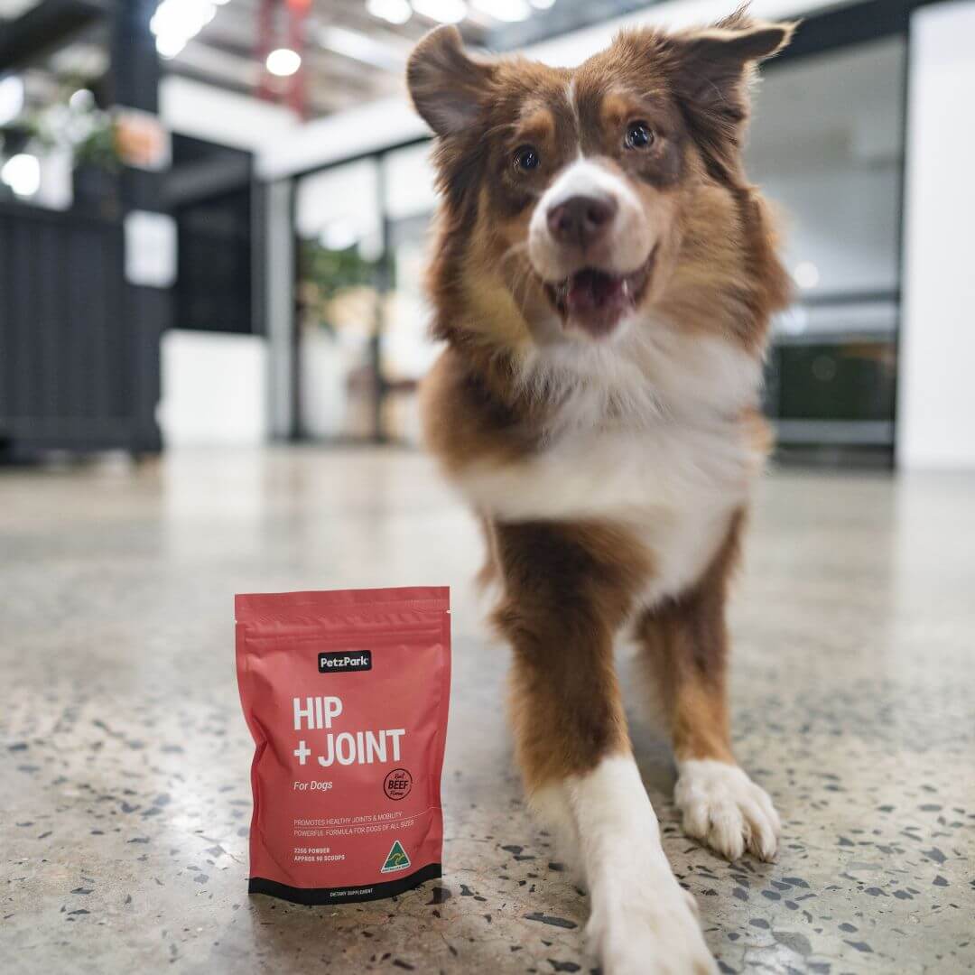 Hip + Joint Supplement Powder for Dogs, Premium Joint Health Support