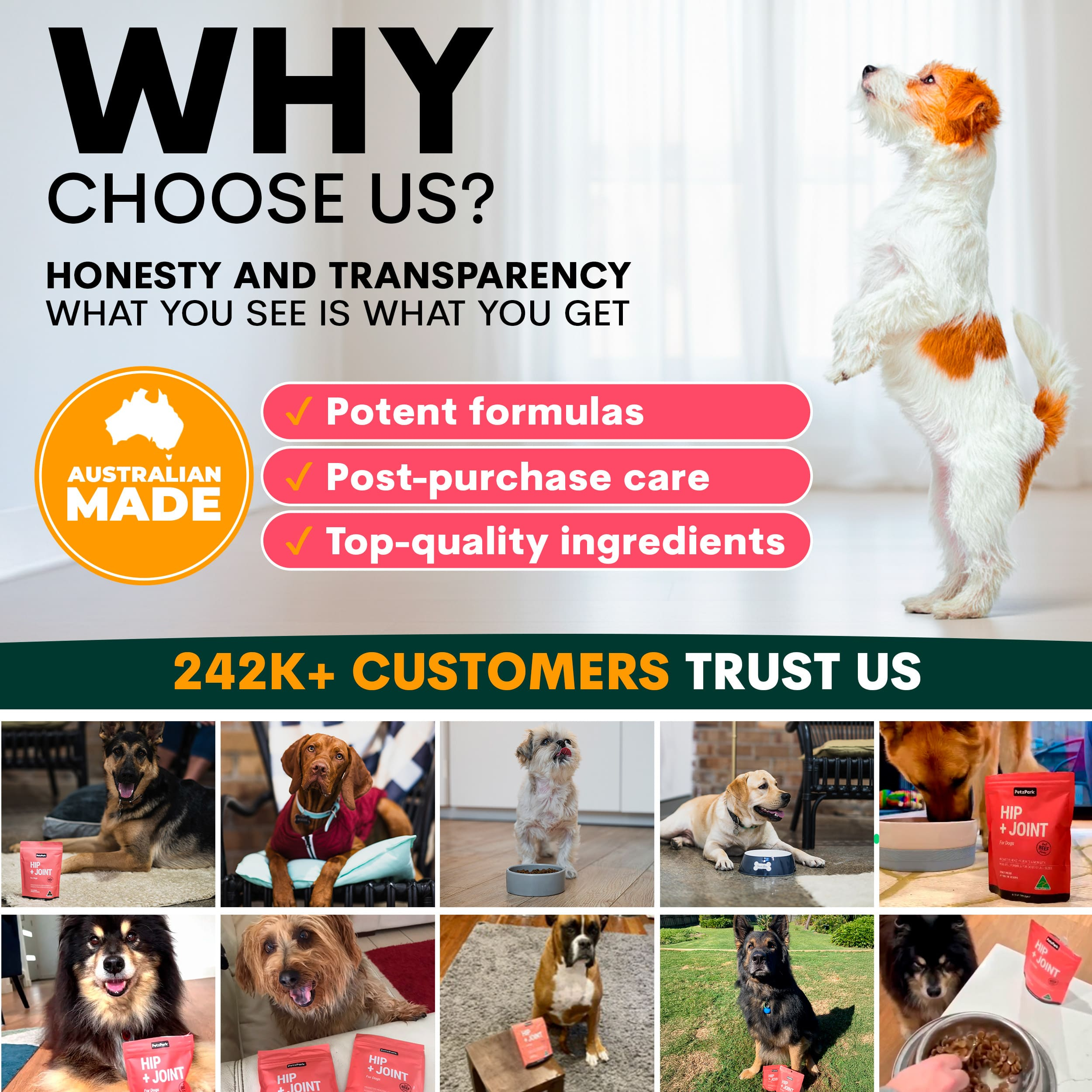 Hip + Joint Supplement Powder for Dogs, Premium Joint Health Support