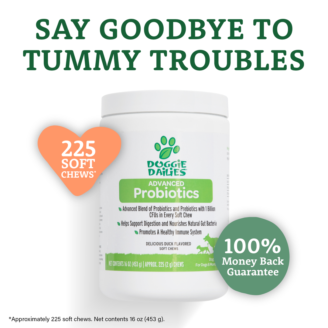 Dog Probiotic Soft Chews, Digestive & Gut Health Supplement for Dogs