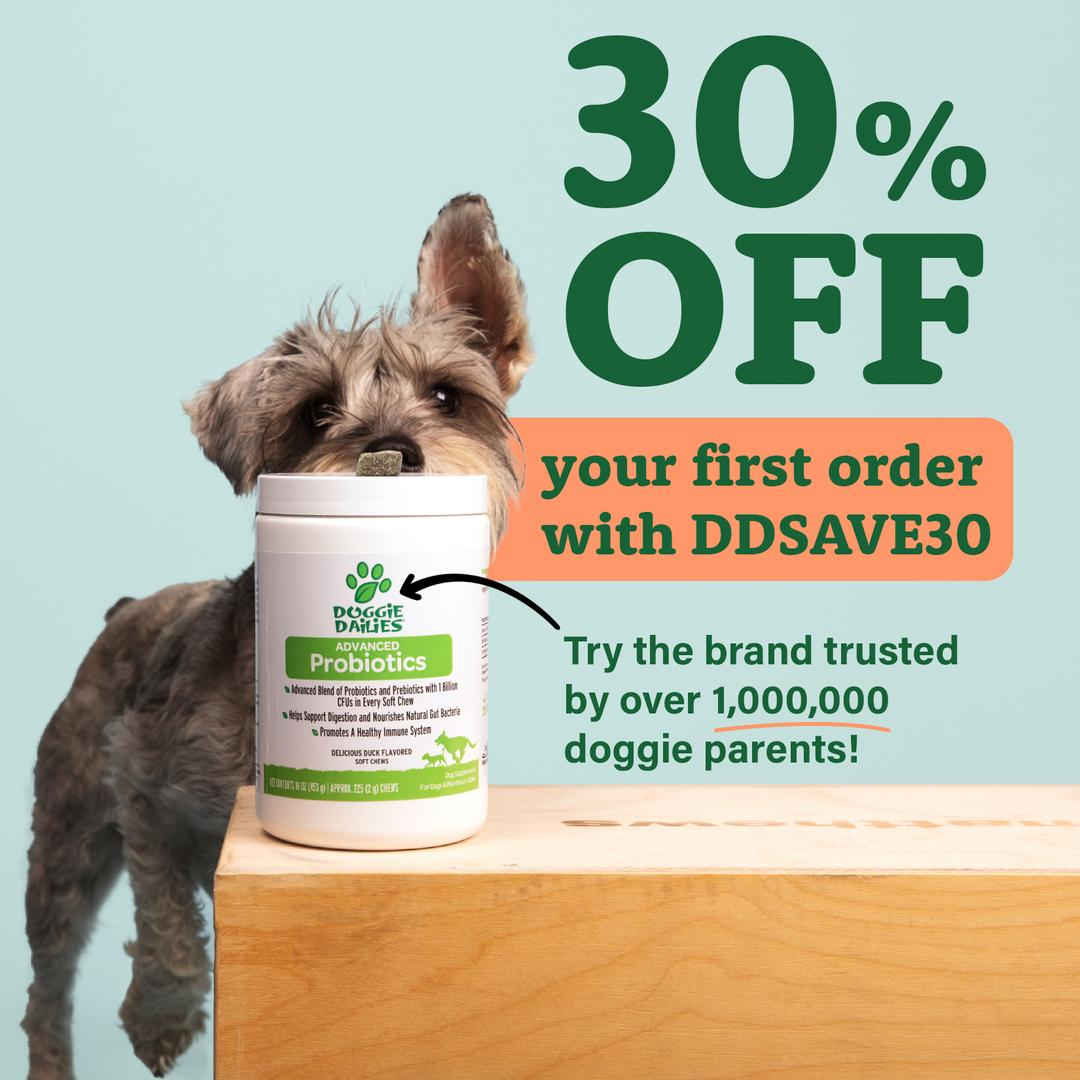 Dog Probiotic Soft Chews, Digestive & Gut Health Supplement for Dogs