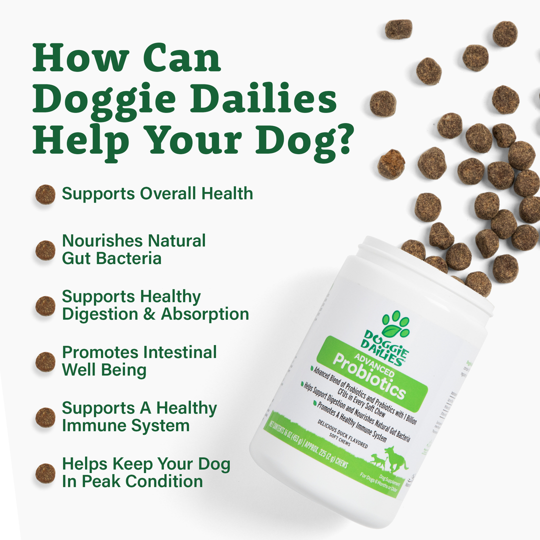 Dog Probiotic Soft Chews, Digestive & Gut Health Supplement for Dogs