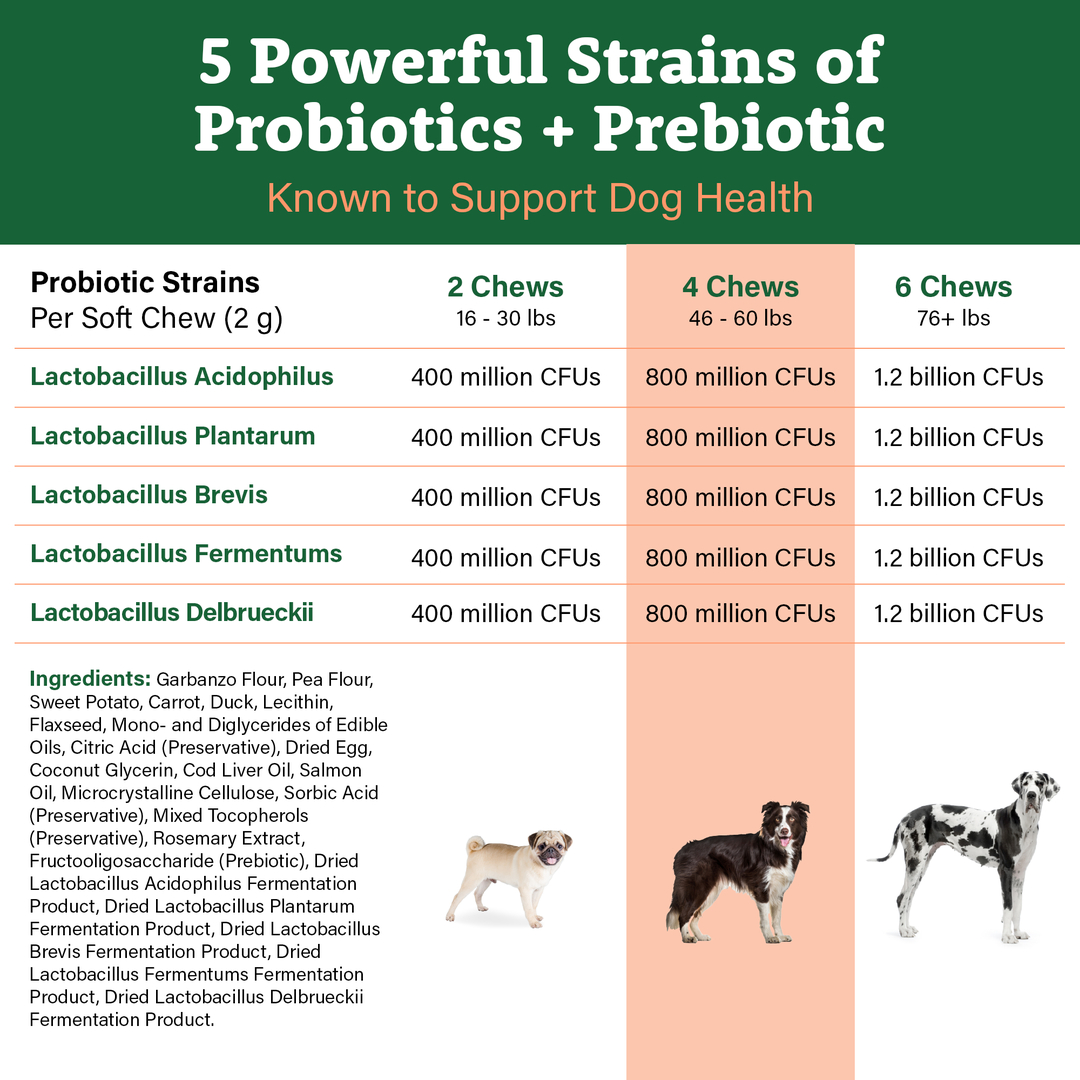 Dog Probiotic Soft Chews, Digestive & Gut Health Supplement for Dogs
