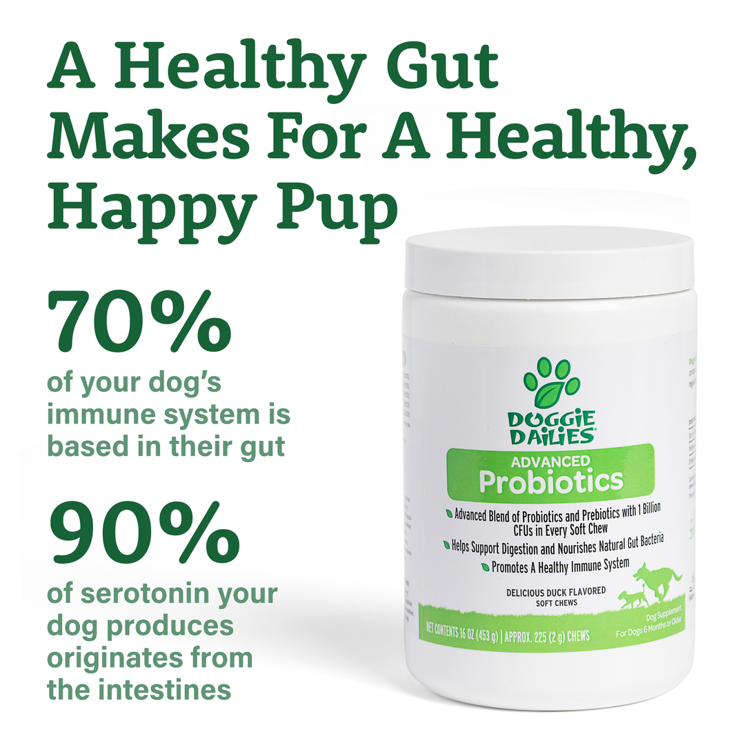 Dog Probiotic Soft Chews, Digestive & Gut Health Supplement for Dogs