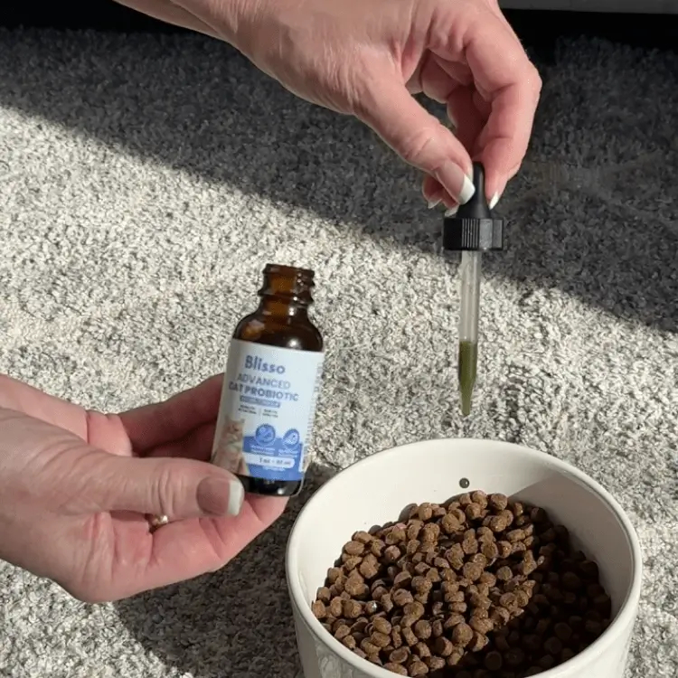Blisso Advanced Cat Probiotic Drops, Gut & Kidney Support Digestive Supplement