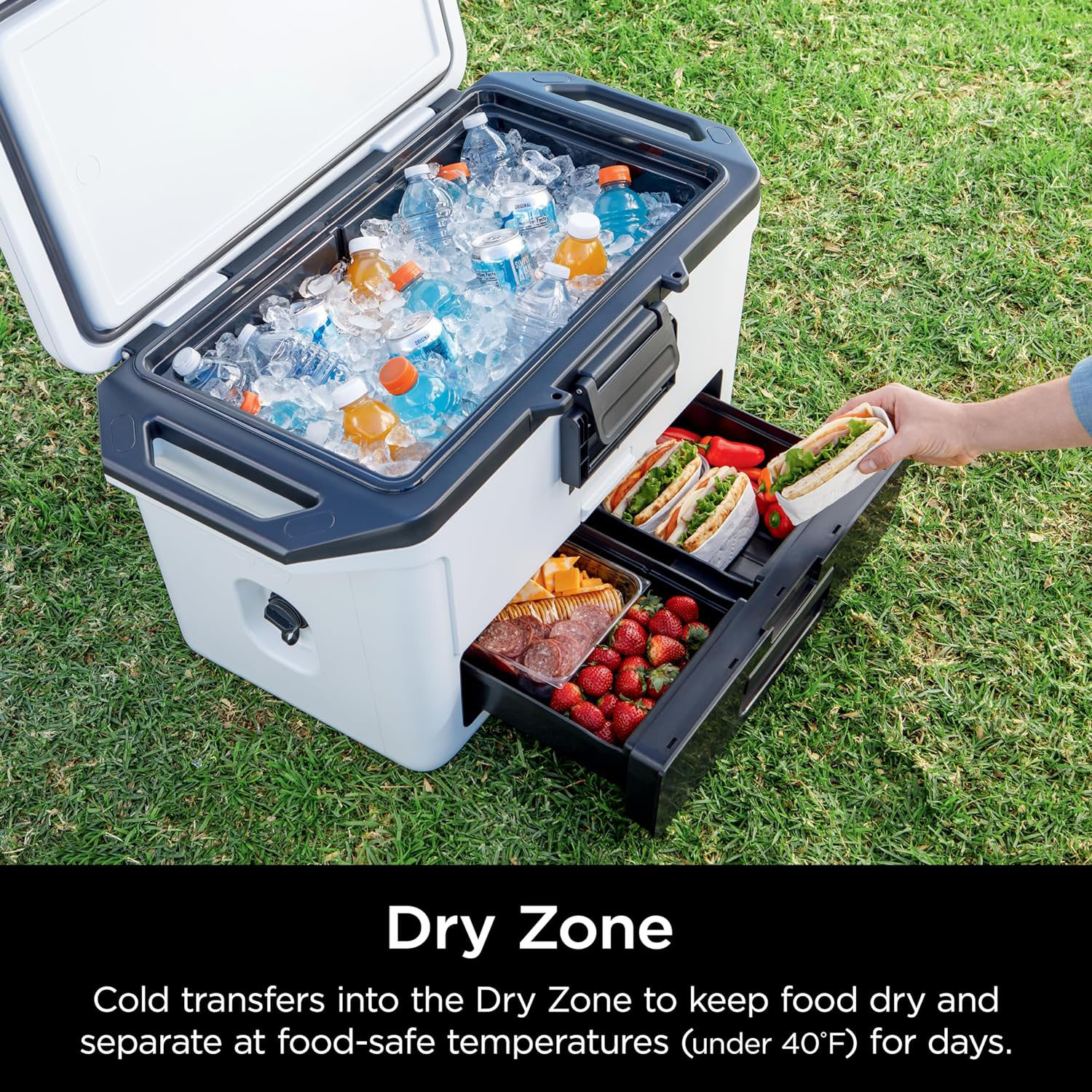 50qt Multifunctional Cooler With Dry Drawer