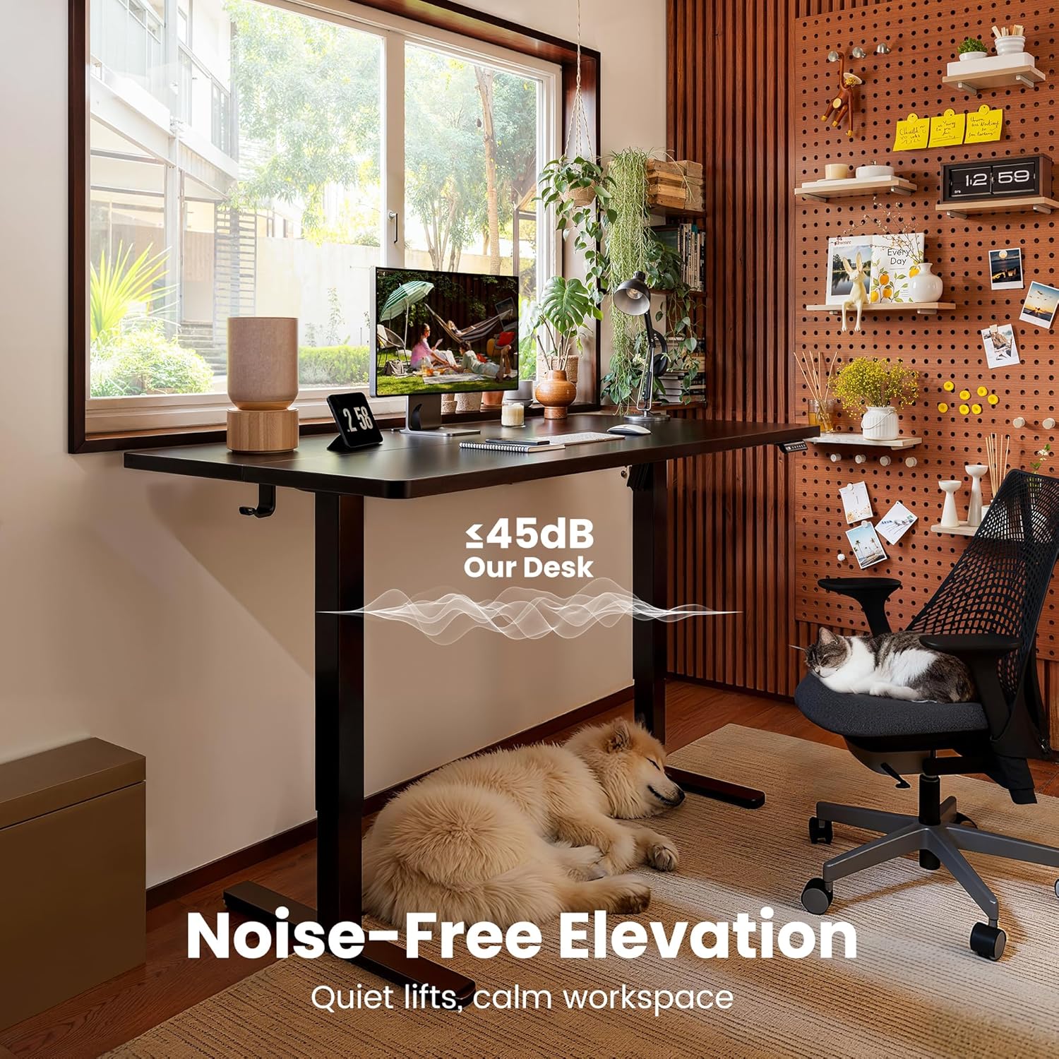 Height Adjustable Electric Standing Desk