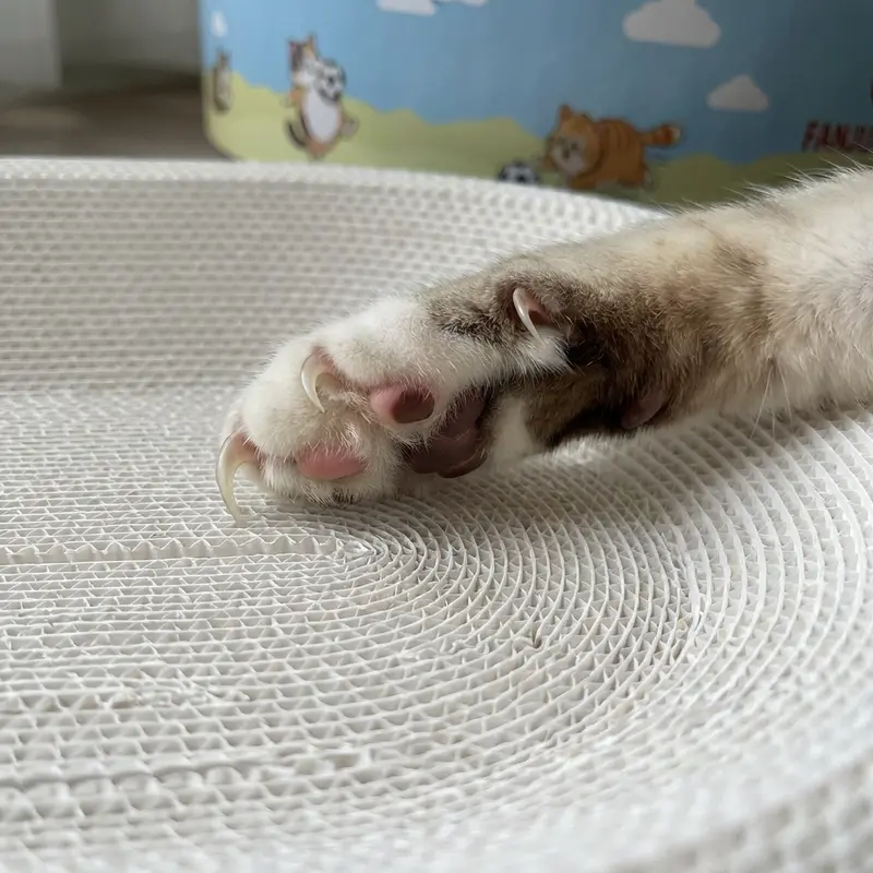 2-in-1 Cartoon Cat Scratcher Bed