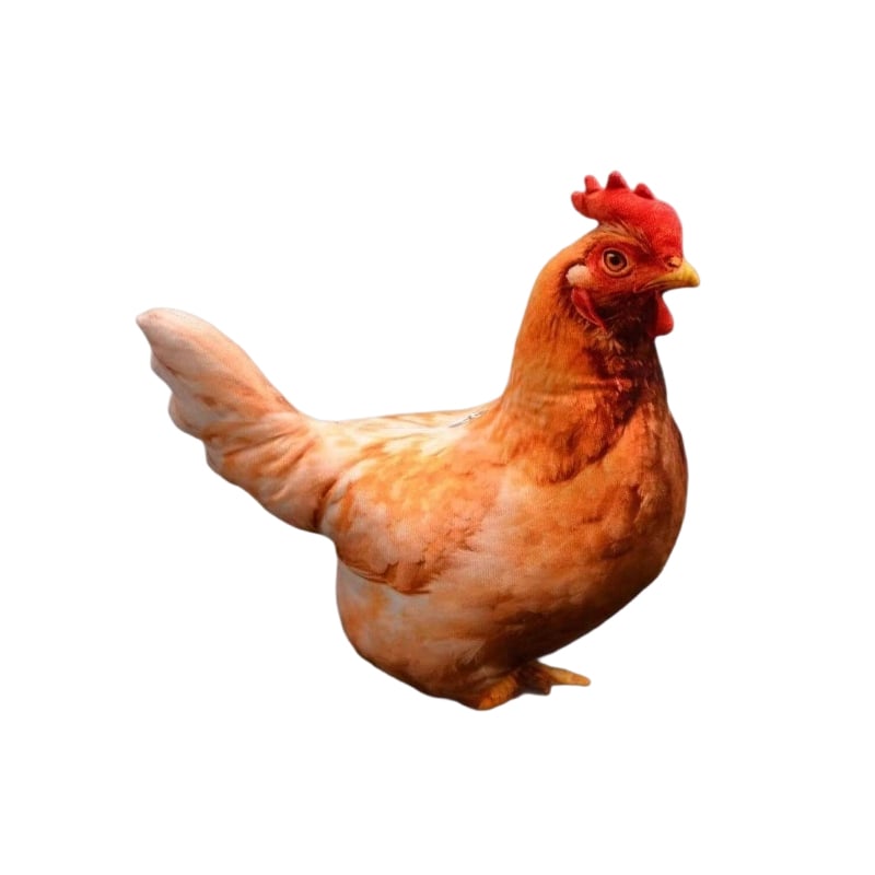 Realistic Chicken Plush Pillow