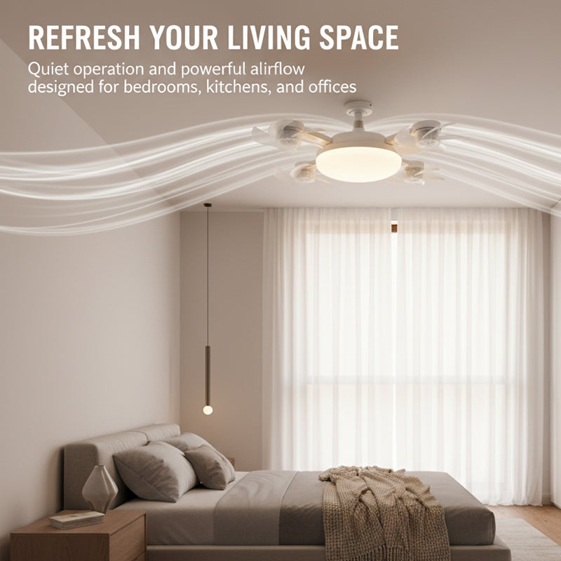 Ceiling fan light used in bedroom garage closet and living space