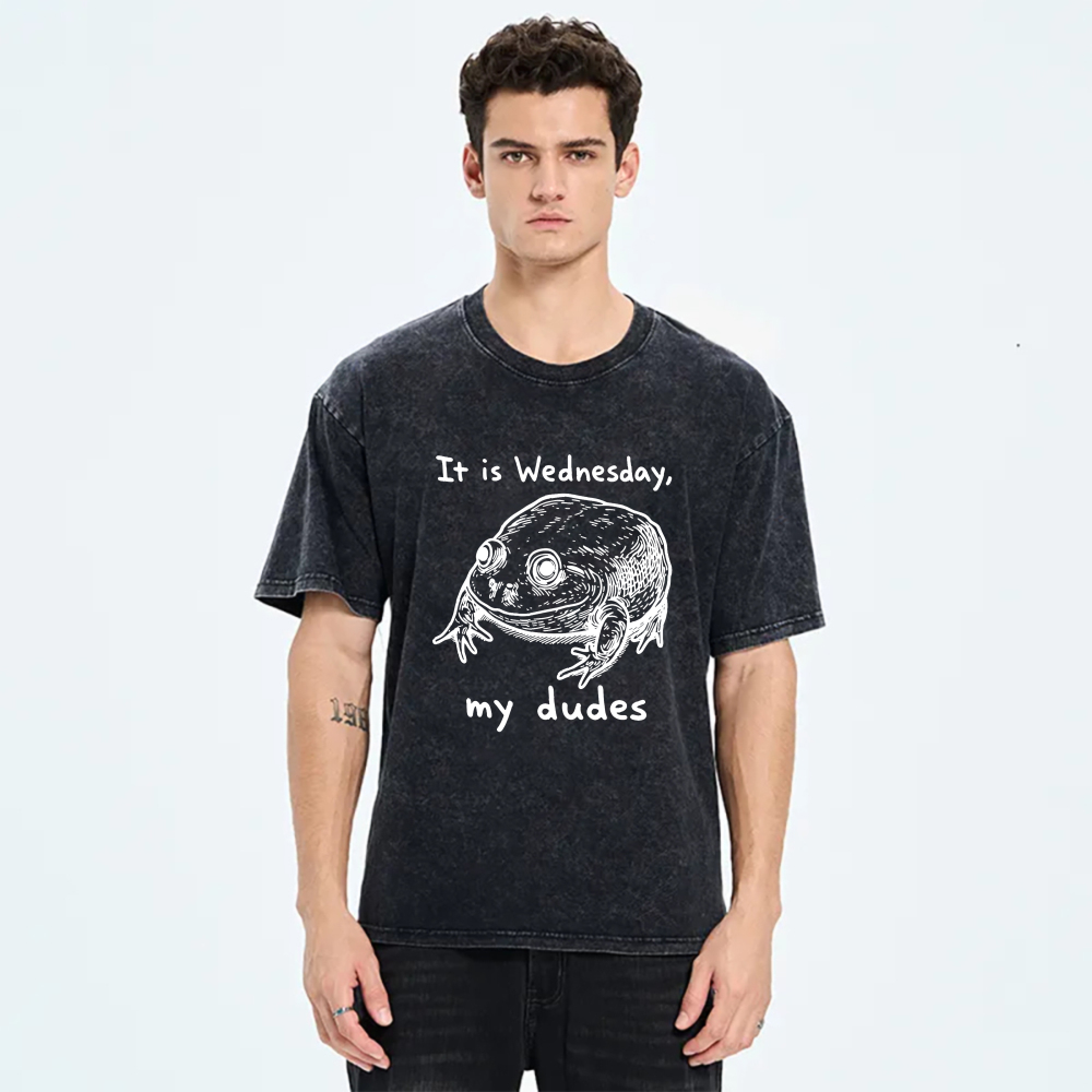 It Is Wednesday My Dudes Frog tshirt 100% cotton