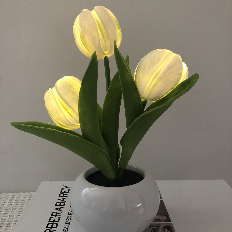 🔥 3 Power Options, 1 Cozy Night Light for Every Lifestyle