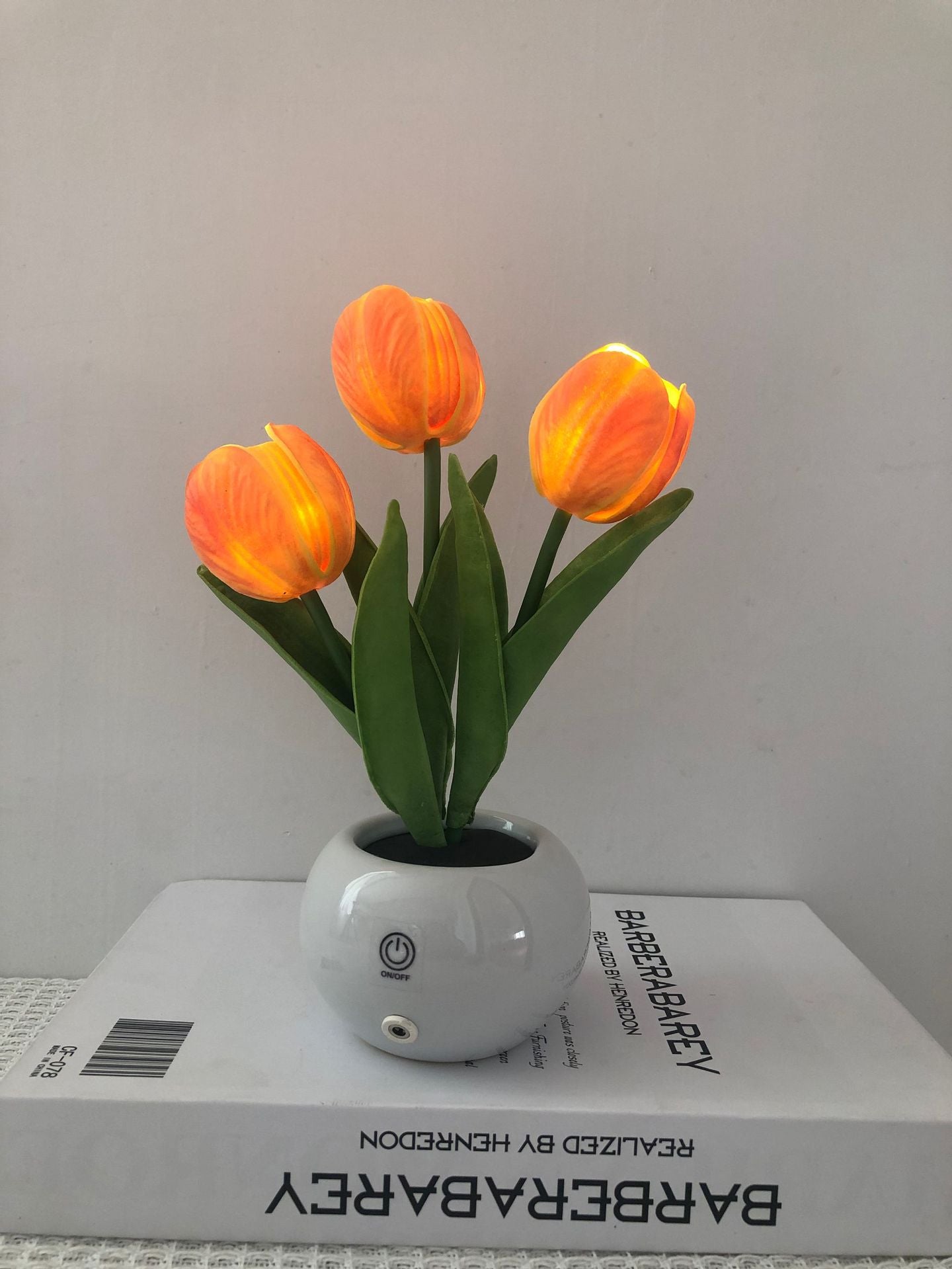 🔥 3 Power Options, 1 Cozy Night Light for Every Lifestyle