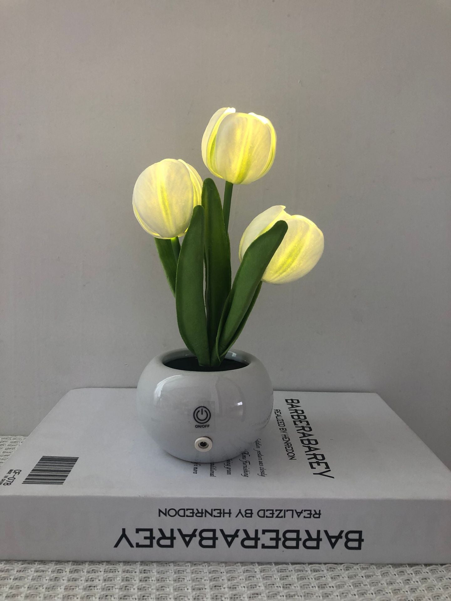 🔥 3 Power Options, 1 Cozy Night Light for Every Lifestyle