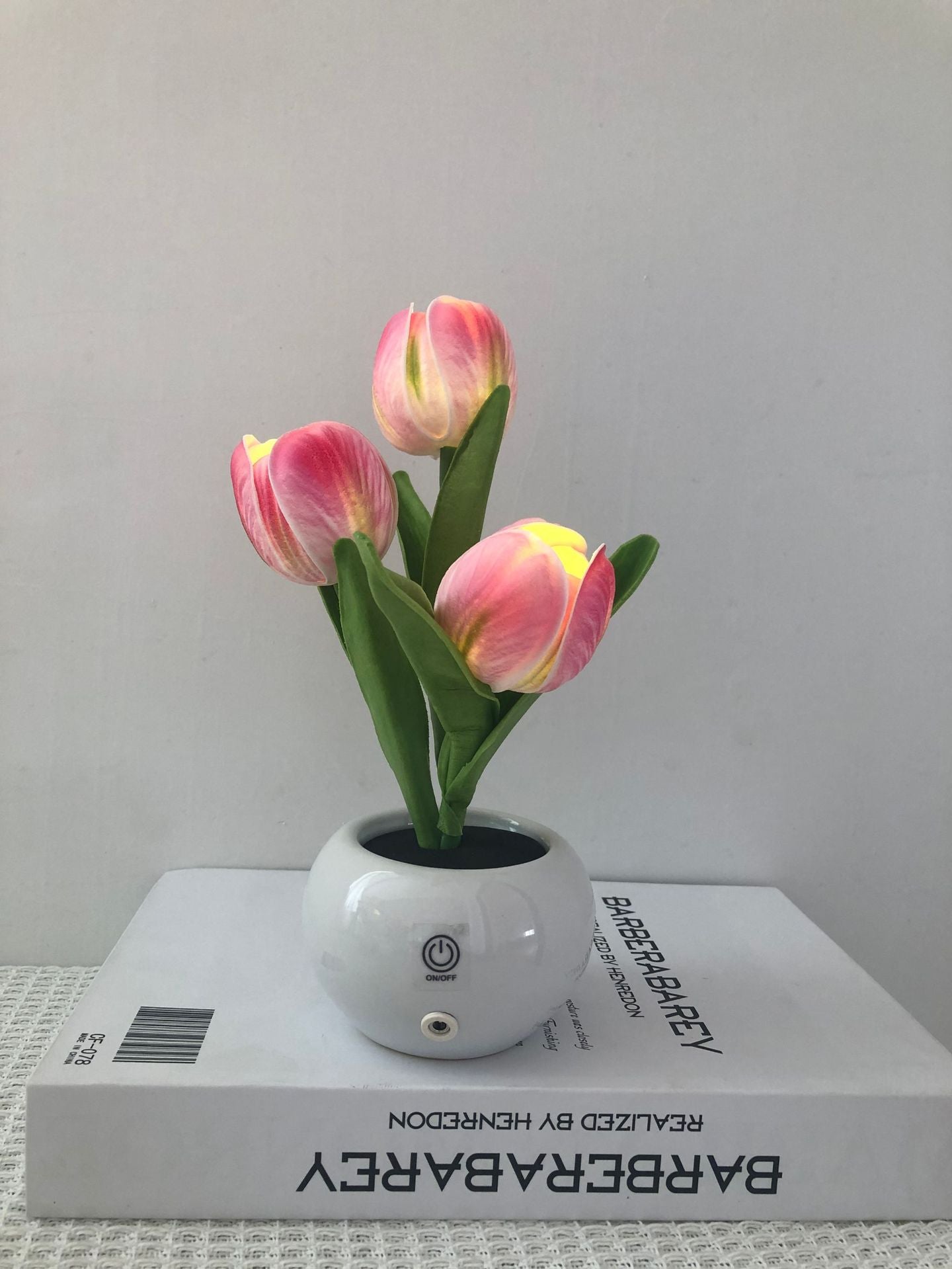 🔥 3 Power Options, 1 Cozy Night Light for Every Lifestyle