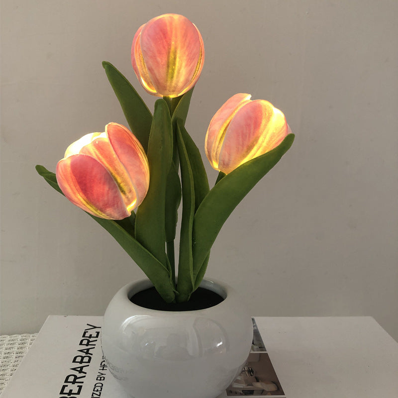 🔥 3 Power Options, 1 Cozy Night Light for Every Lifestyle