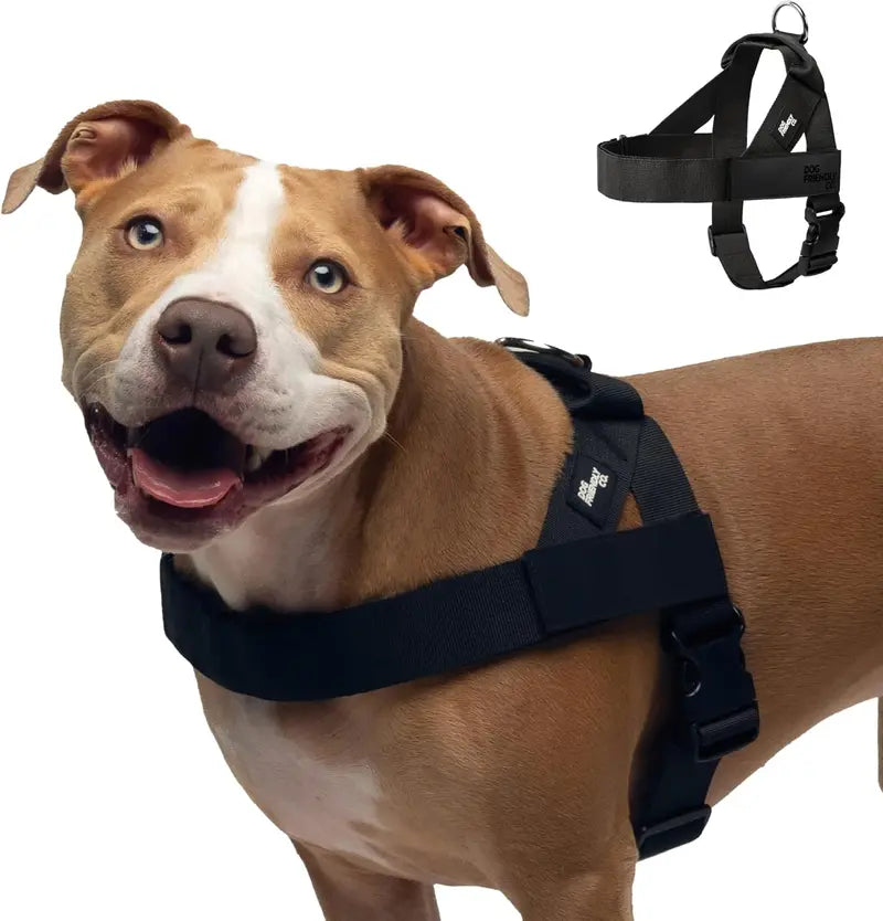 🐾🛡️Dog Friendly Co. Harness - Easy to Fit No-Pull Design