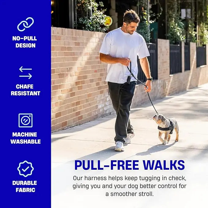 🐾🛡️Dog Friendly Co. Harness - Easy to Fit No-Pull Design